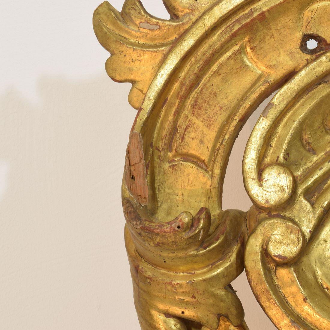 Gran adorno barroco de rizo italiano del siglo XVIII tallado a mano en madera dorada en venta 11