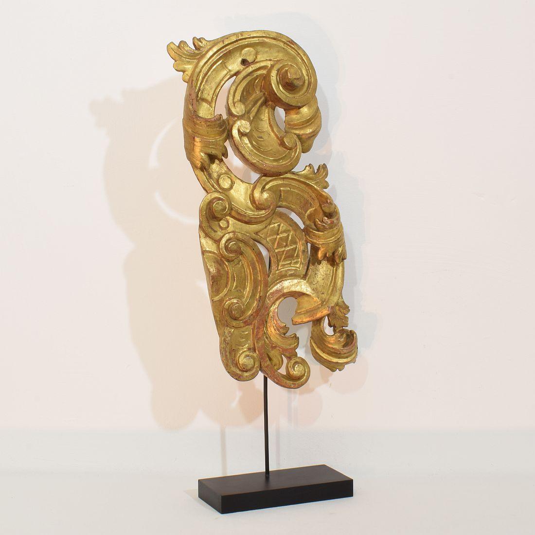 Gran adorno barroco de rizo italiano del siglo XVIII tallado a mano en madera dorada Barroco en venta