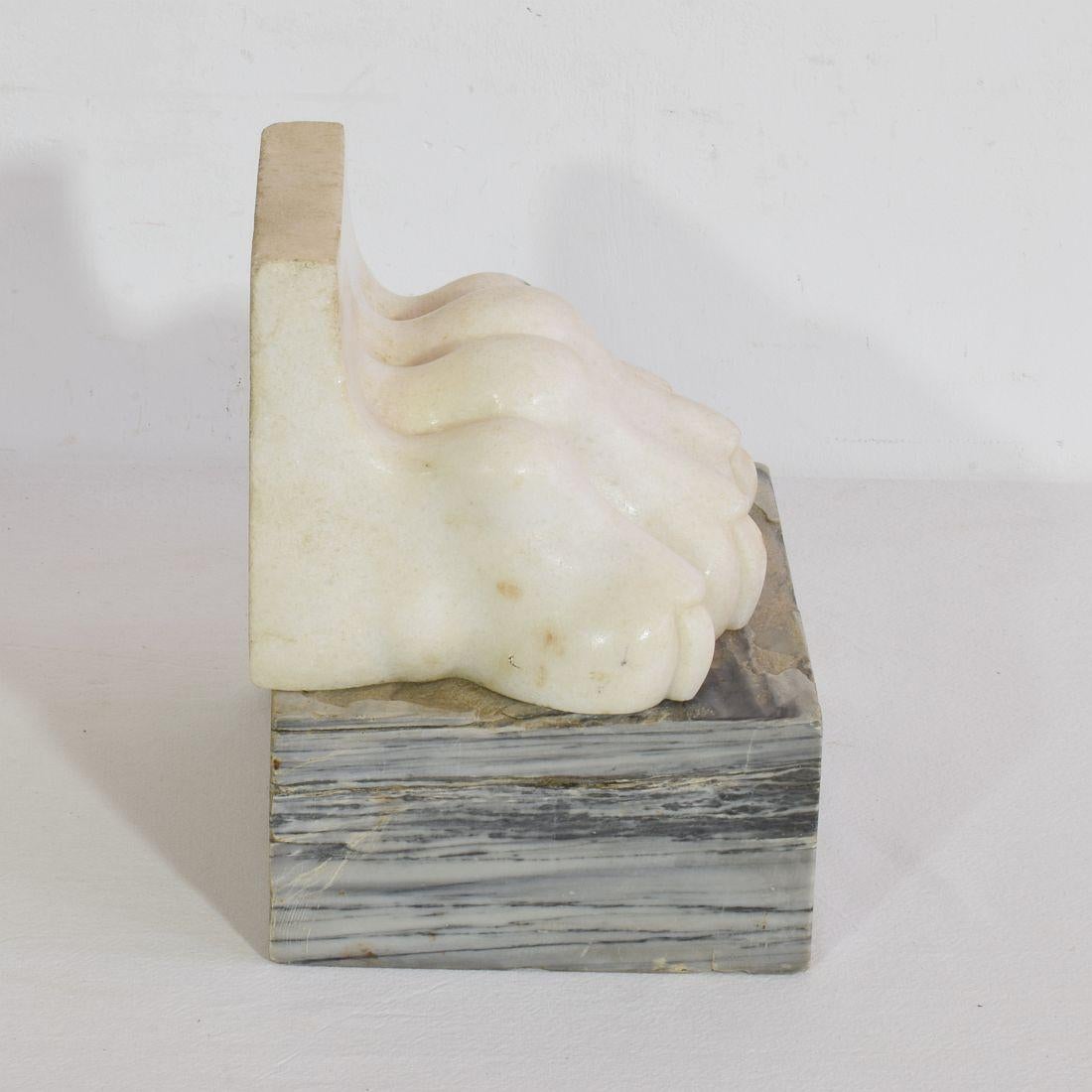 Large 18th Century Italian Marble Claw 6