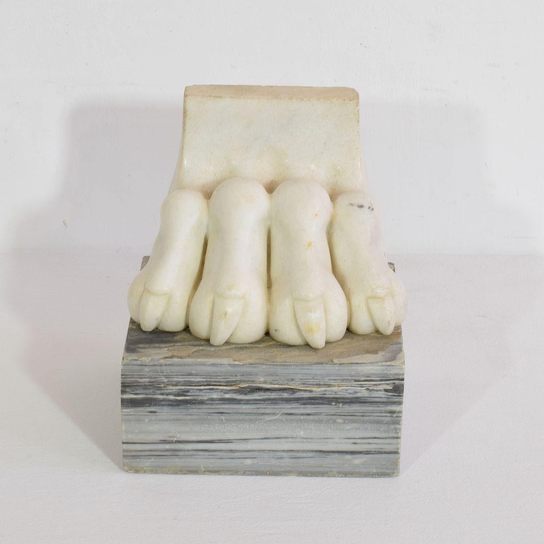 18th Century and Earlier Large 18th Century Italian Marble Claw