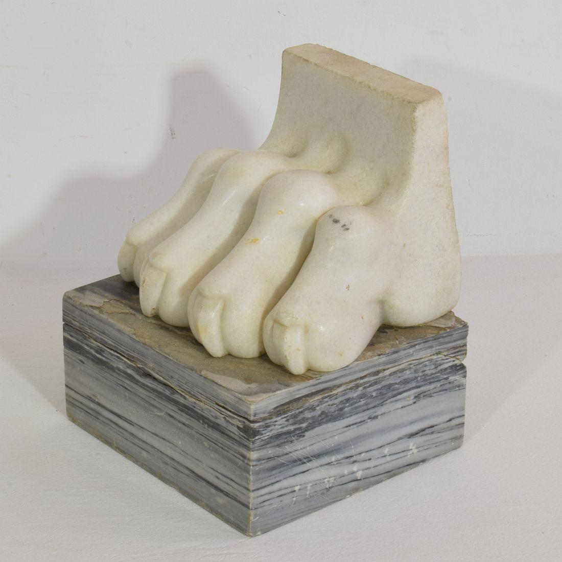 Large 18th Century Italian Marble Claw 3
