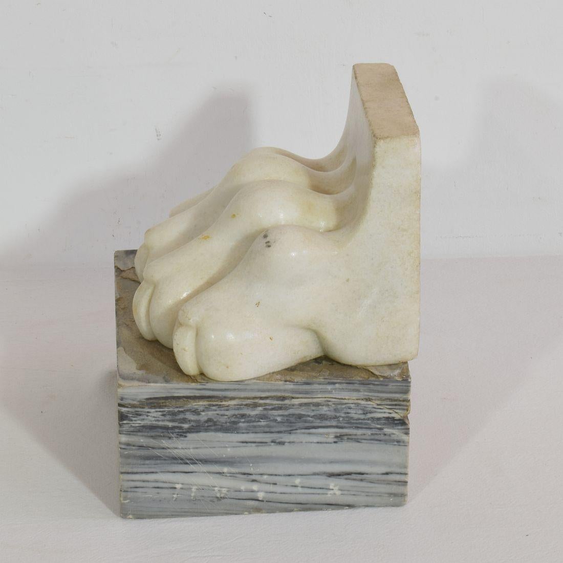Large 18th Century Italian Marble Claw 4