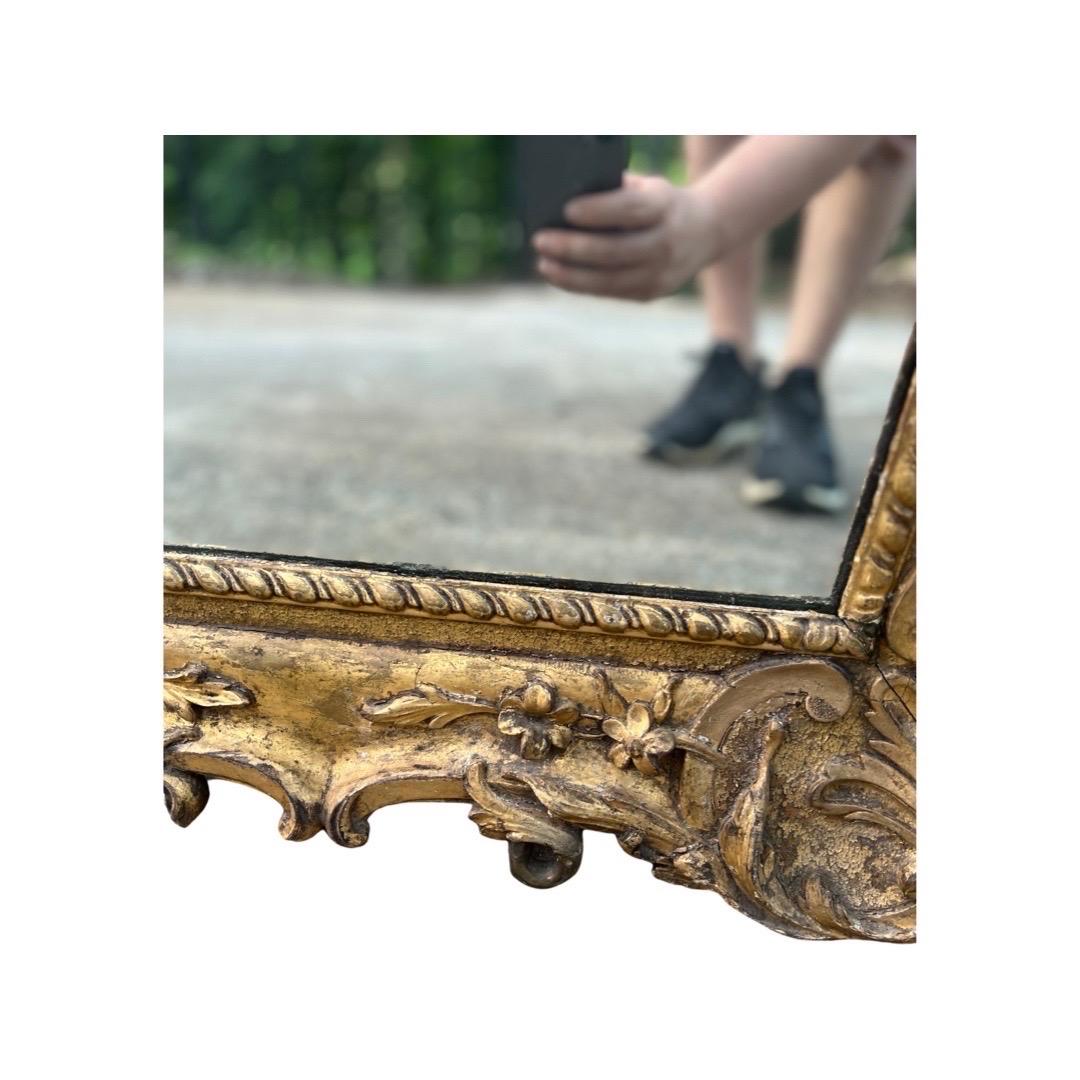 Large 18th Century, Italian Rococo Giltwood Wall Mirror, Exhibition Label 9