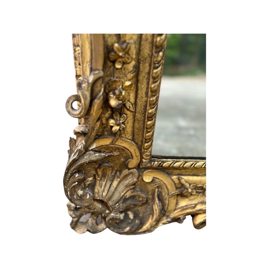 Large 18th Century, Italian Rococo Giltwood Wall Mirror, Exhibition Label 12