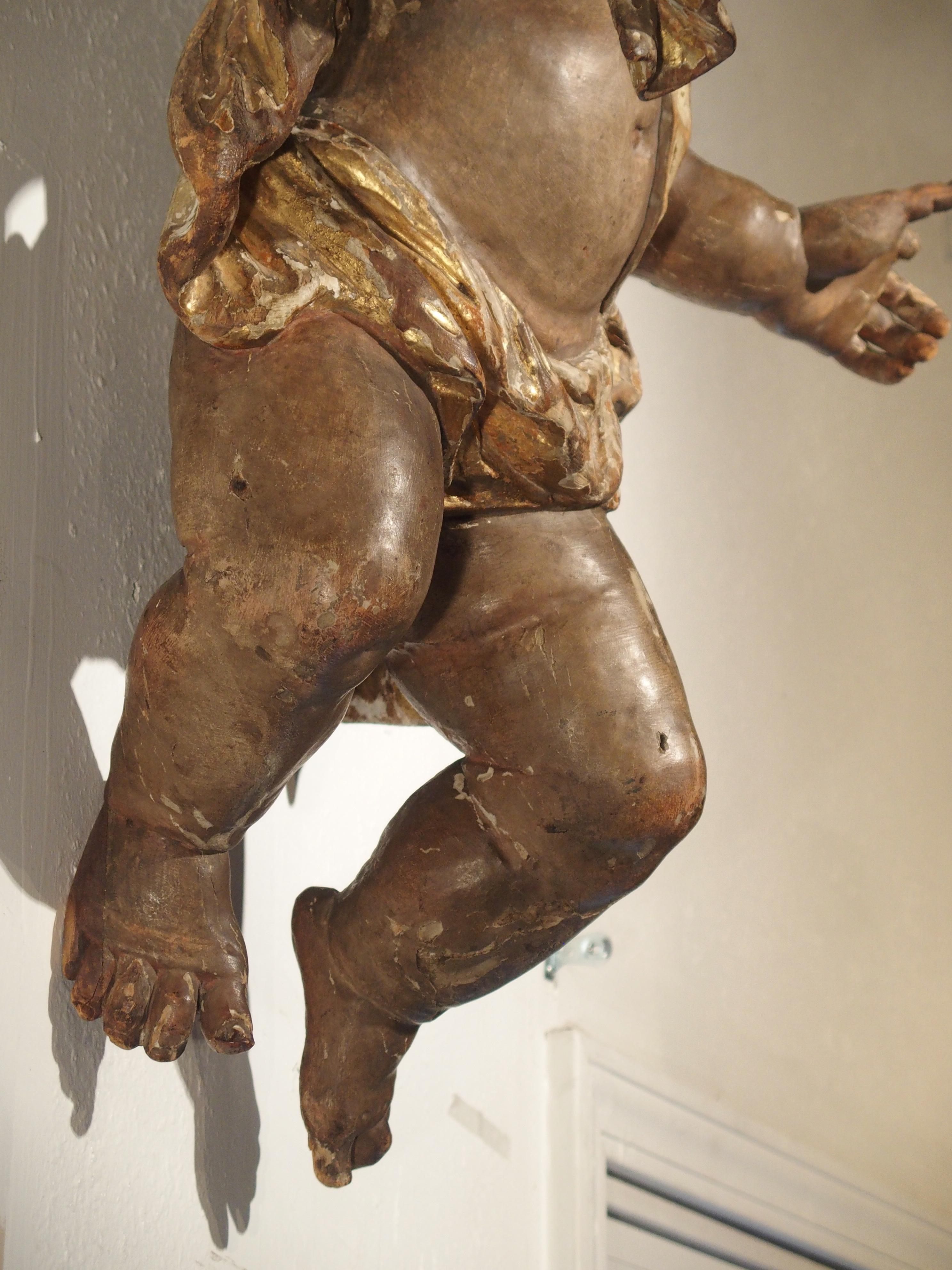 Large 18th Century Polychrome and Giltwood Cherub from Italy 10