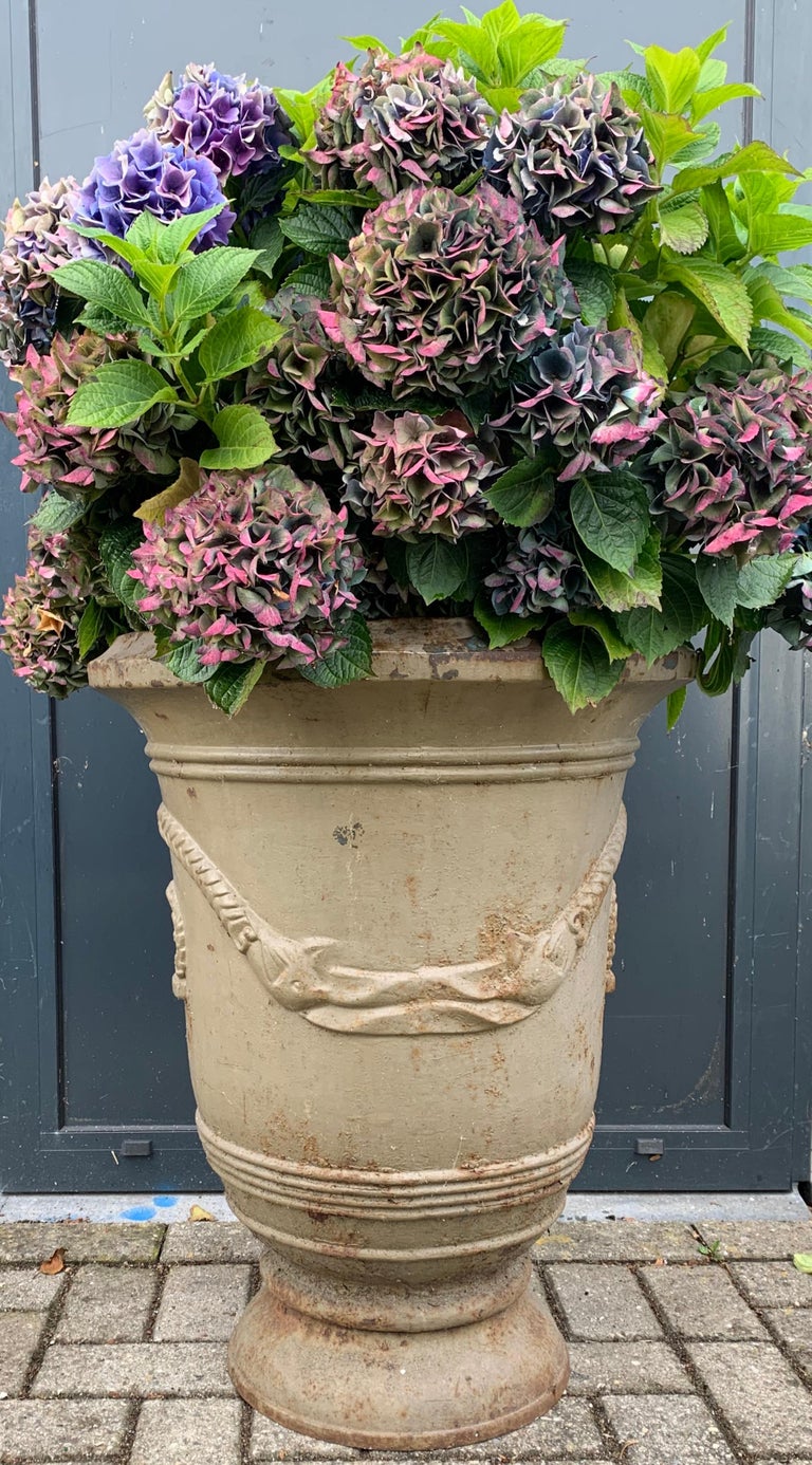 Very rare and highly decorative, architectural cast iron vase. 

If you are a private collector or an interior designer with an eye for the rare and wonderful, then this very rare and timeless garden vase could be perfect for your home or for one of