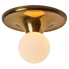 Large 1960s Achille Castiglioni & Pier Giacomo 'Light Ball' Wall or Ceiling Lamp