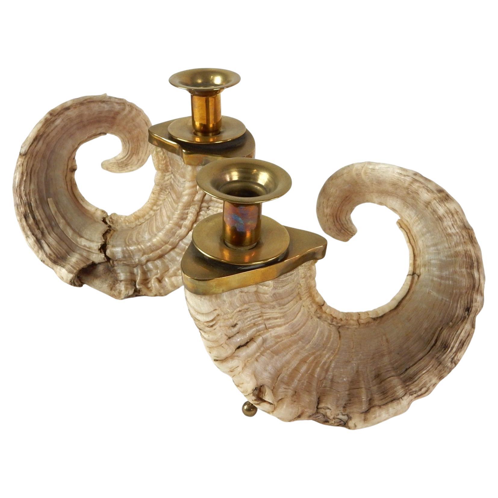 Large 1960's Curly Ram Horn & Brass Candlesticks Centerpiece For Sale