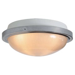 Large 1960s Sergio Mazza Glass and Metal Ceiling or Wall Lamp for Artemide
