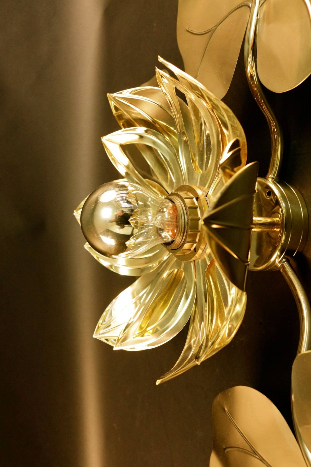 Mid-20th Century Large 1960s 'Waterlily' Vegetal Sconce