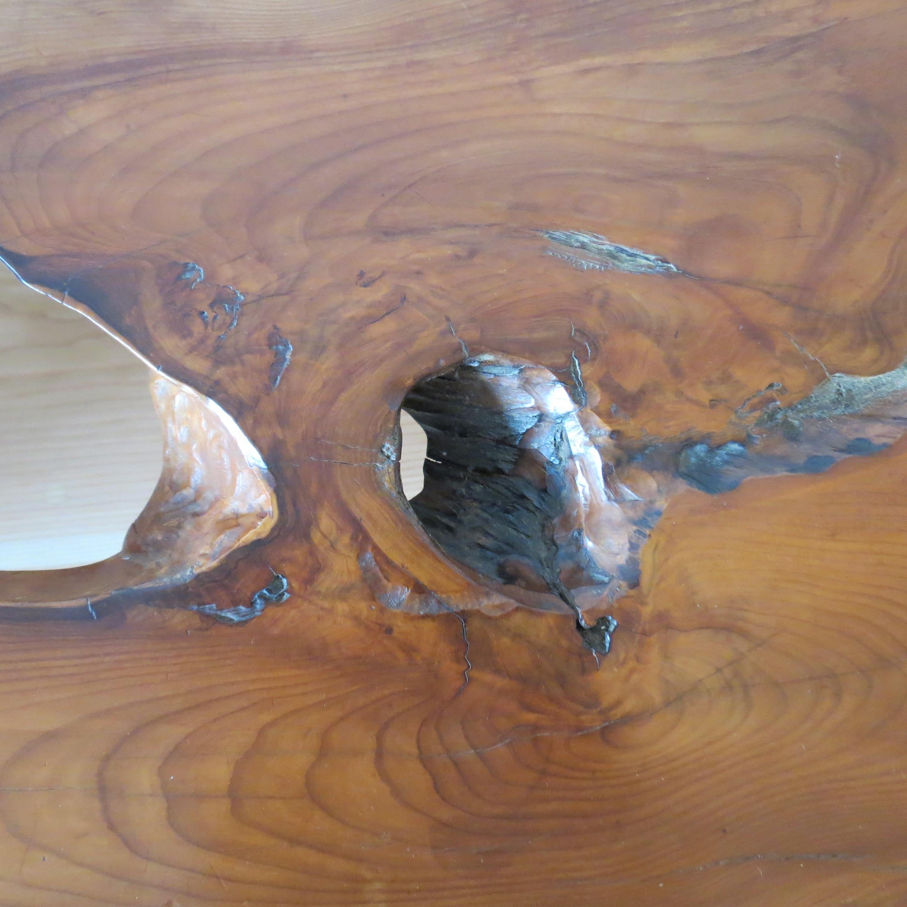 Large 1960s Yew Wood Waney Edge Live Edge Natural Coffee Table 2