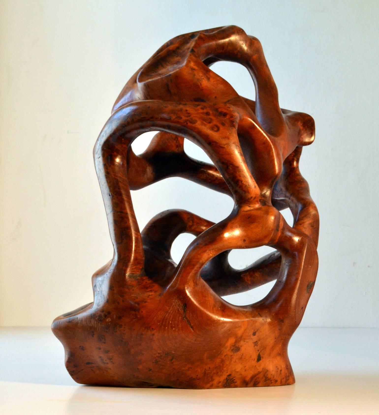 This large free-form organic wooden sculpture is carved from Yew with its twisting curves colliding all angles. It has a slippery burned orange surface.
Yew trees are some of the oldest trees in the world. It is grown in many exotic shapes which
