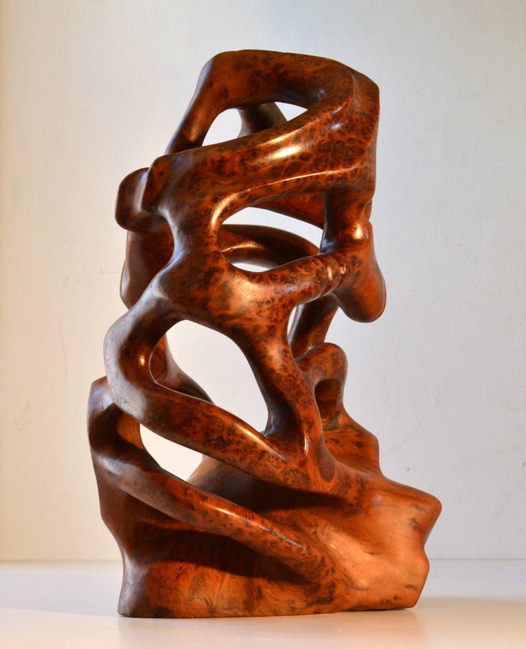 Large 1970s Abstract Organic Sculpture HandCarved in Yew at 1stDibs
