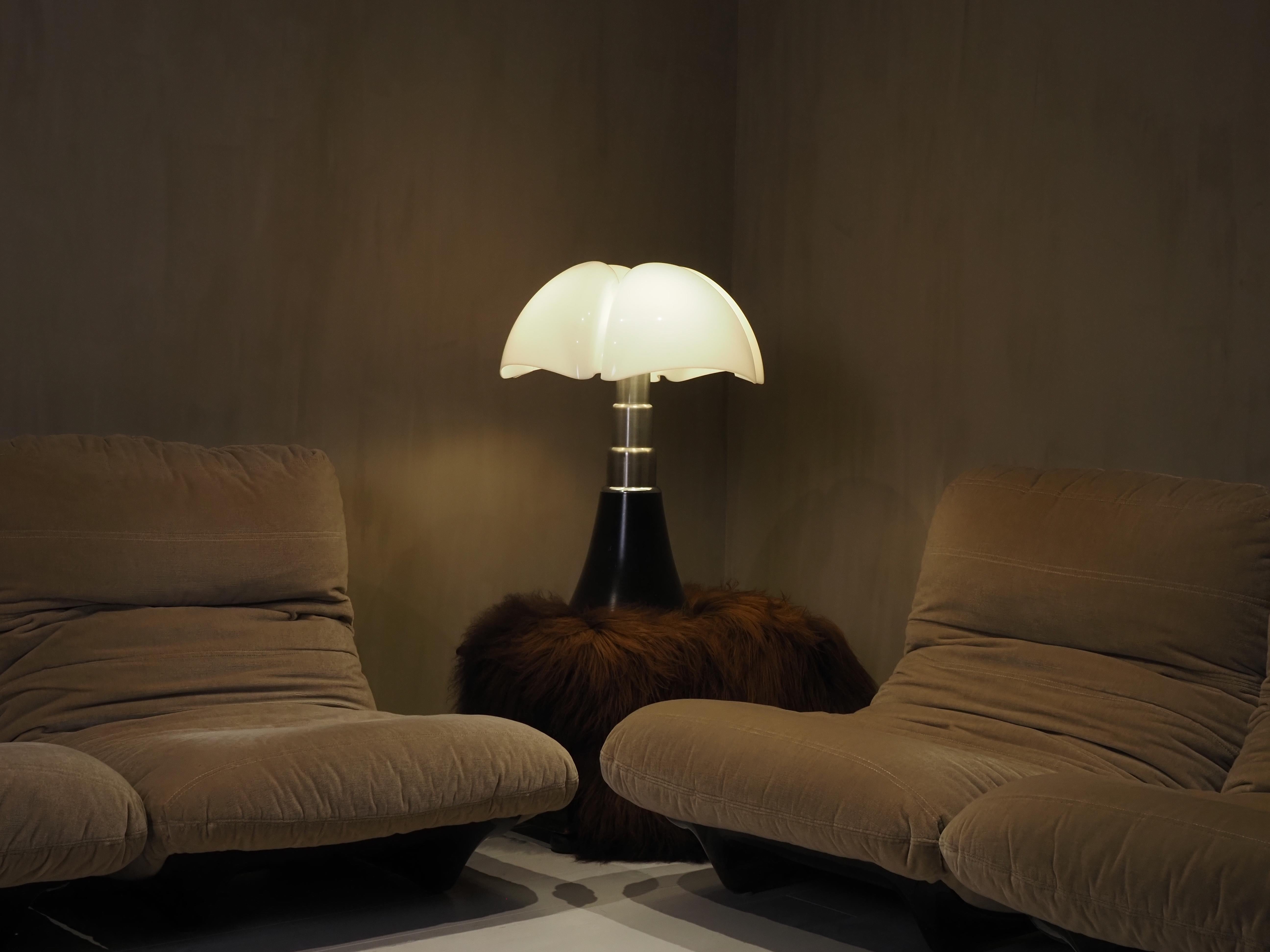 Large 1970's Gae Aulenti Pipistrello model 620 4