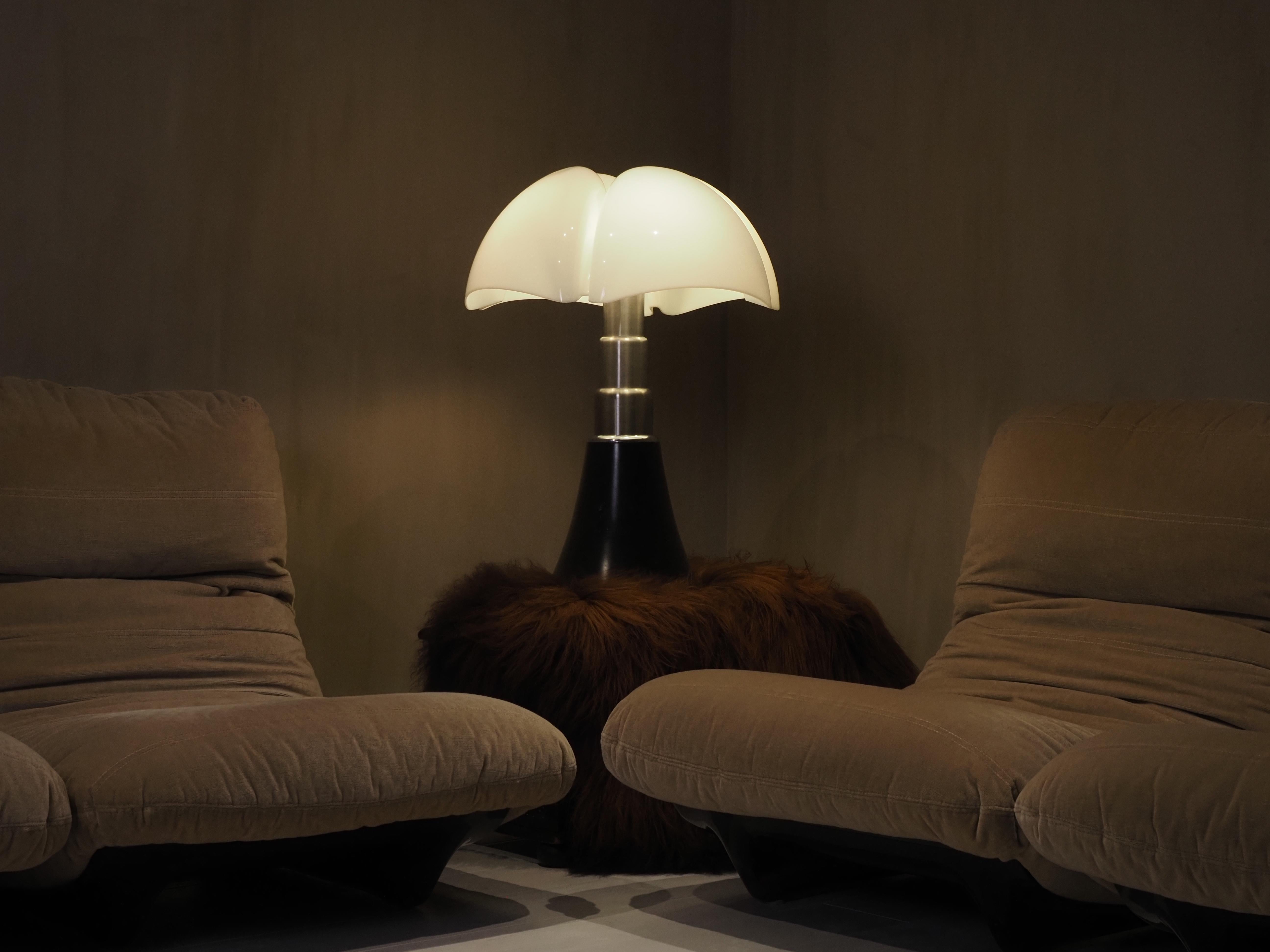 Large 1970's Gae Aulenti Pipistrello model 620 5
