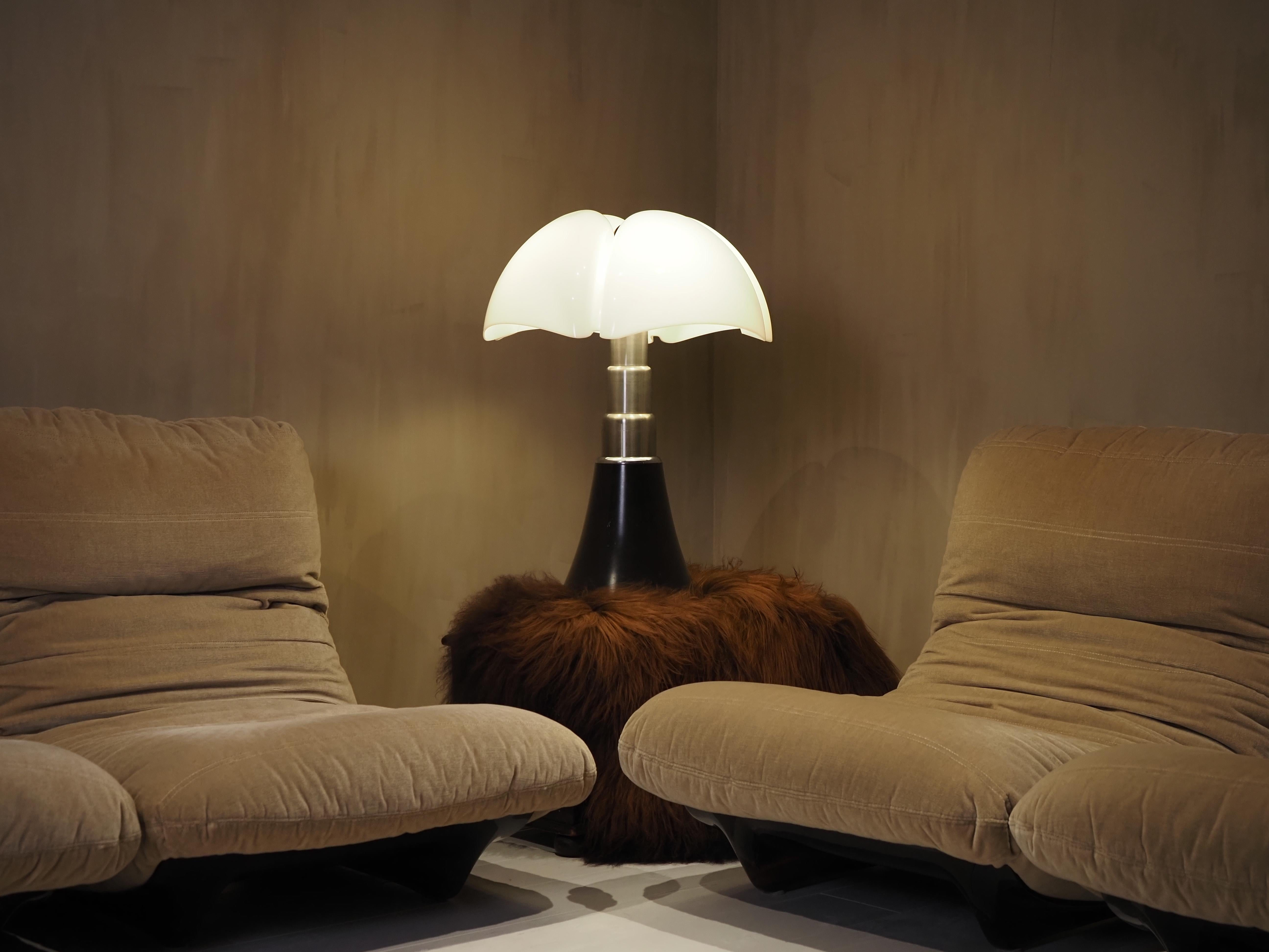Large 1970's Gae Aulenti Pipistrello model 620 6