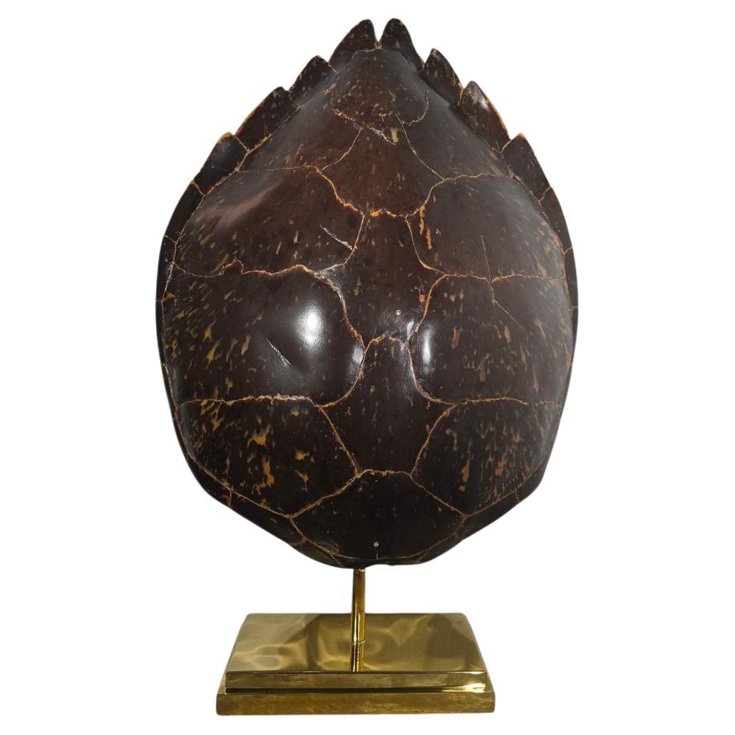 Large 1970s Table Lamp with Polished Bronze Base