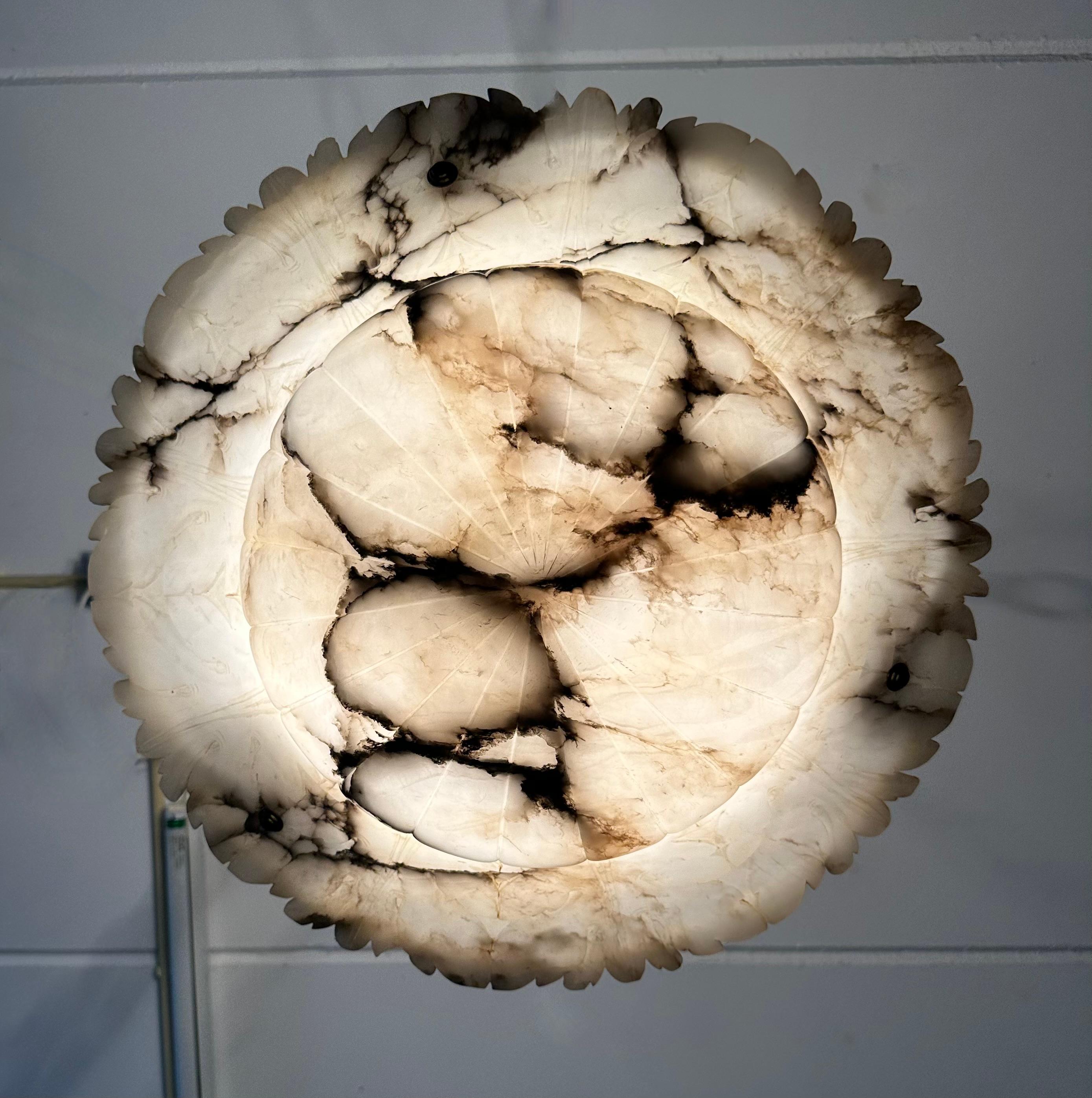 Large Ø19.8