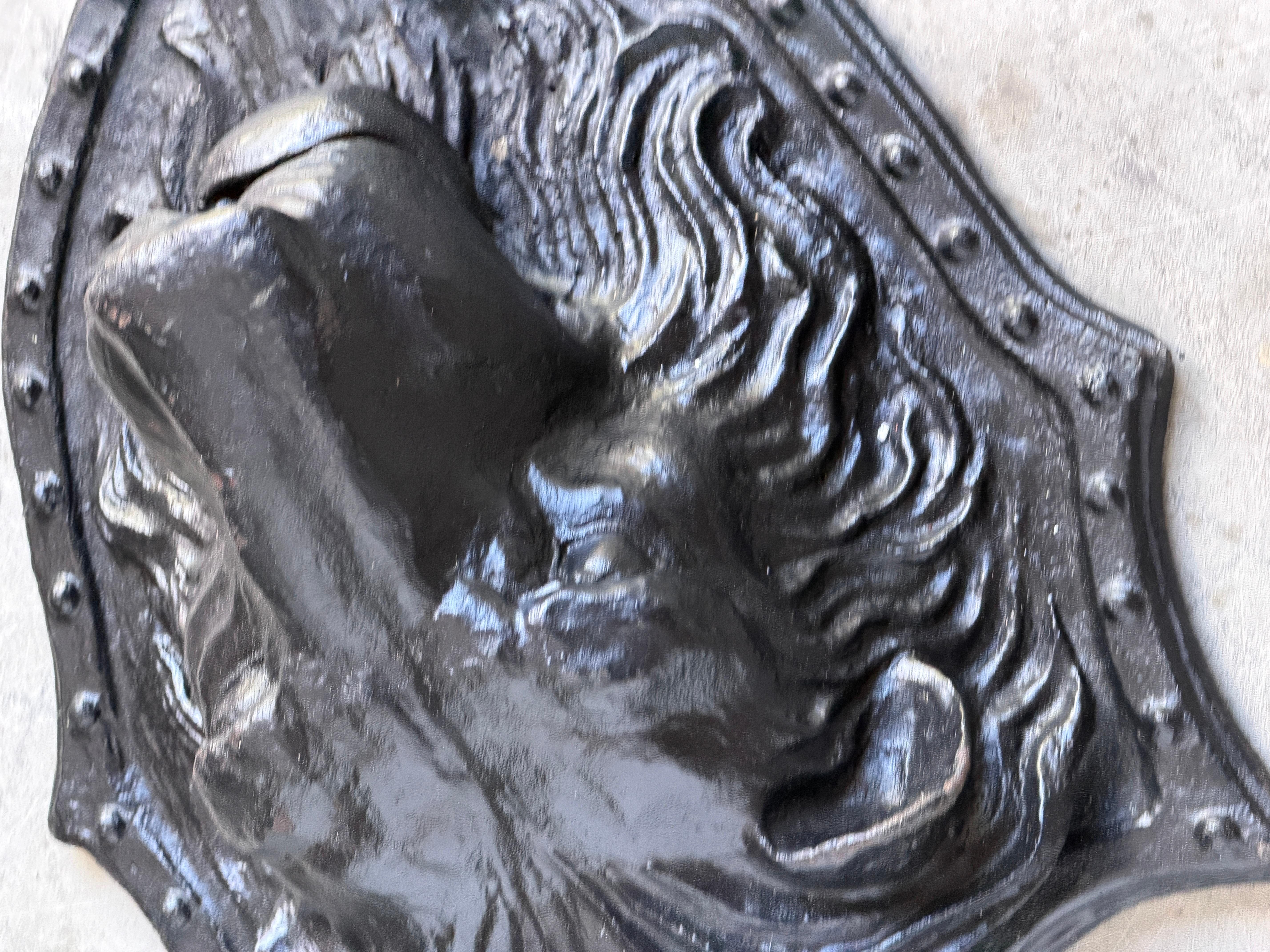 Large 19th C. American Cast-Iron Lion Shield Medallion, Architectural Ornament For Sale 5