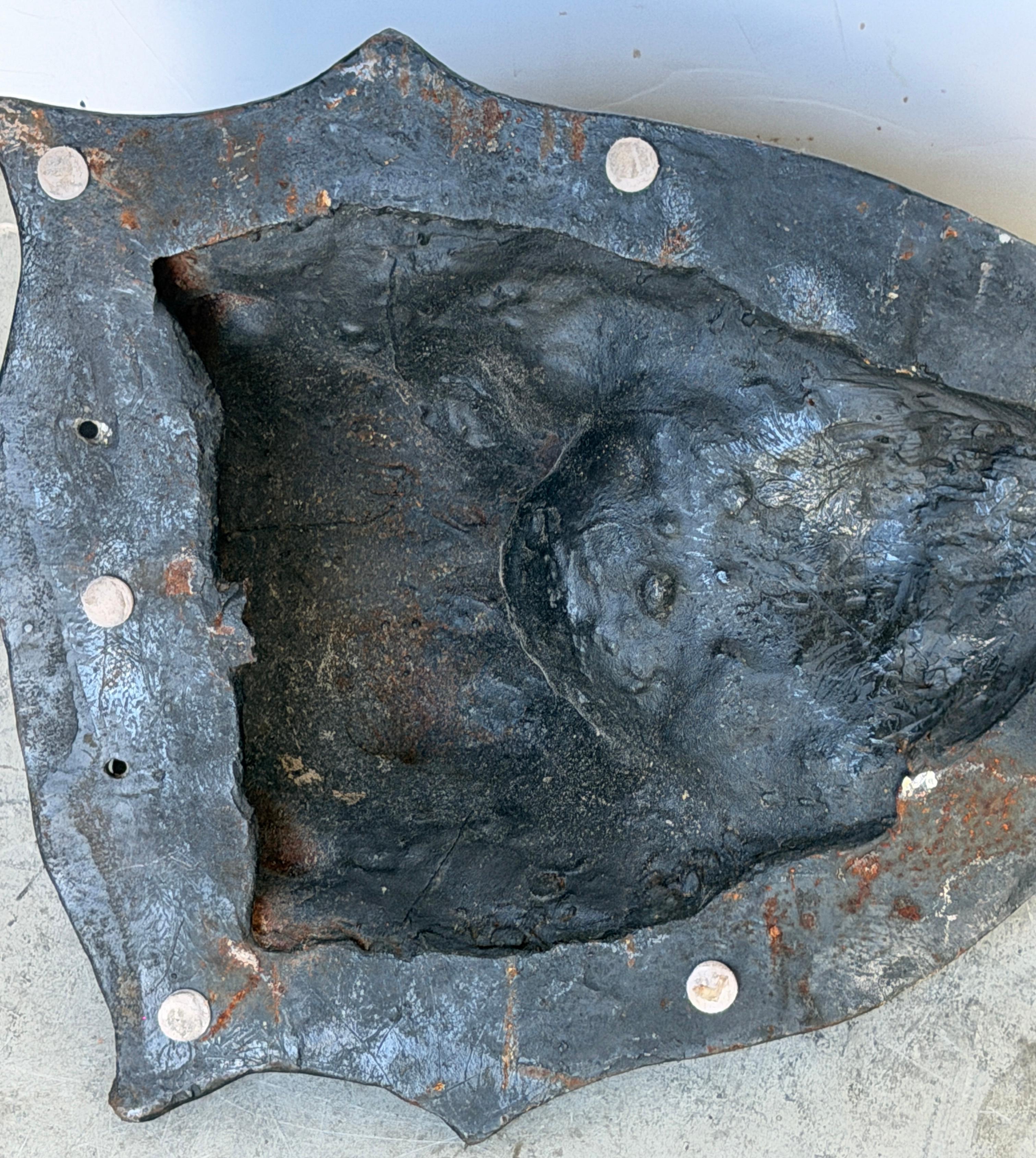 Large 19th C. American Cast-Iron Lion Shield Medallion, Architectural Ornament For Sale 14