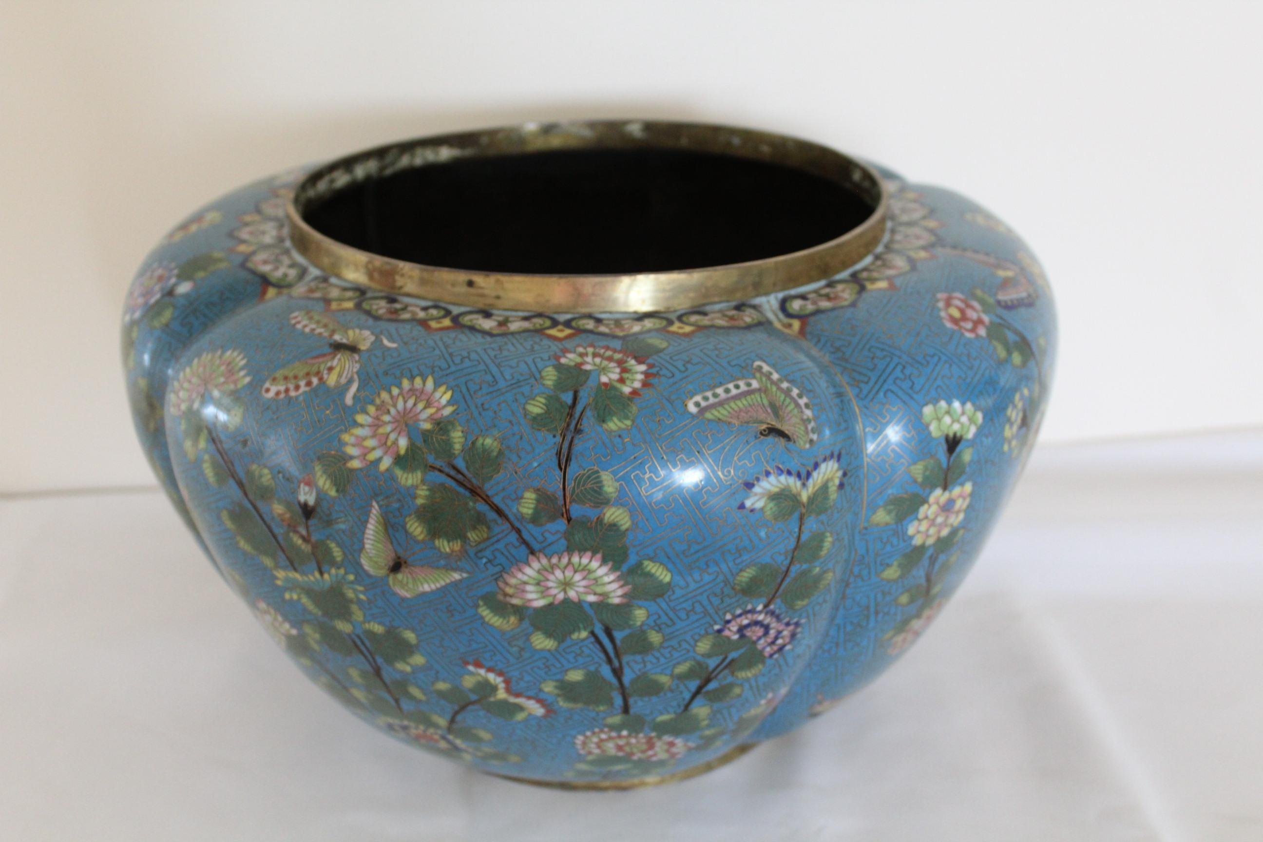 A large Chainese blue Cloisonne jardinière or planter depicting Butterfies in a garden of flowers, Chrysanthemum and Cherry Blossoms with their stems and leaves. The top and bottom have a gilded band around the frieze of dark blue.