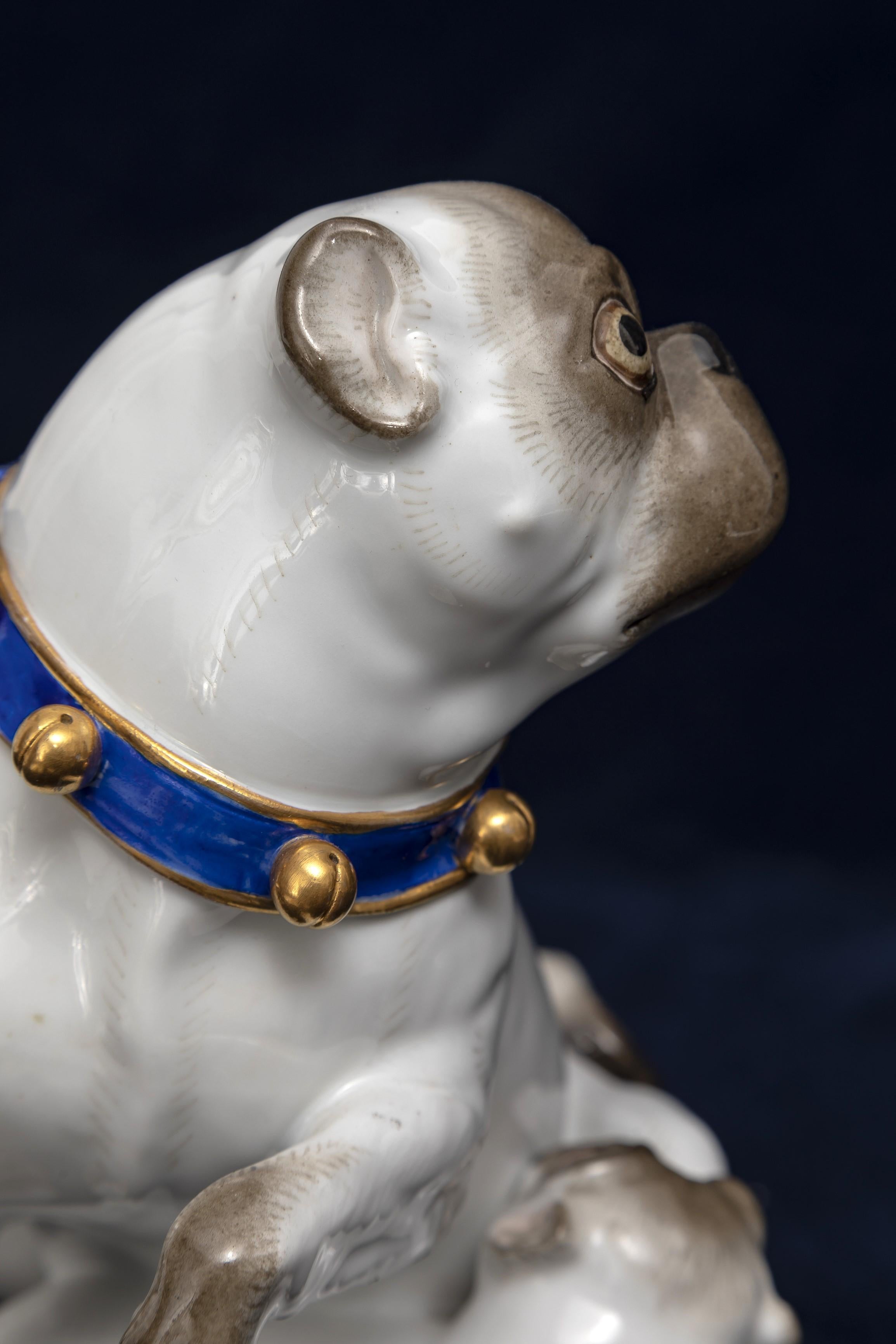 Grande figurine en porcelaine de Meissen du 19e C., mère et Child Pug avec collier en cloche doré en vente 4
