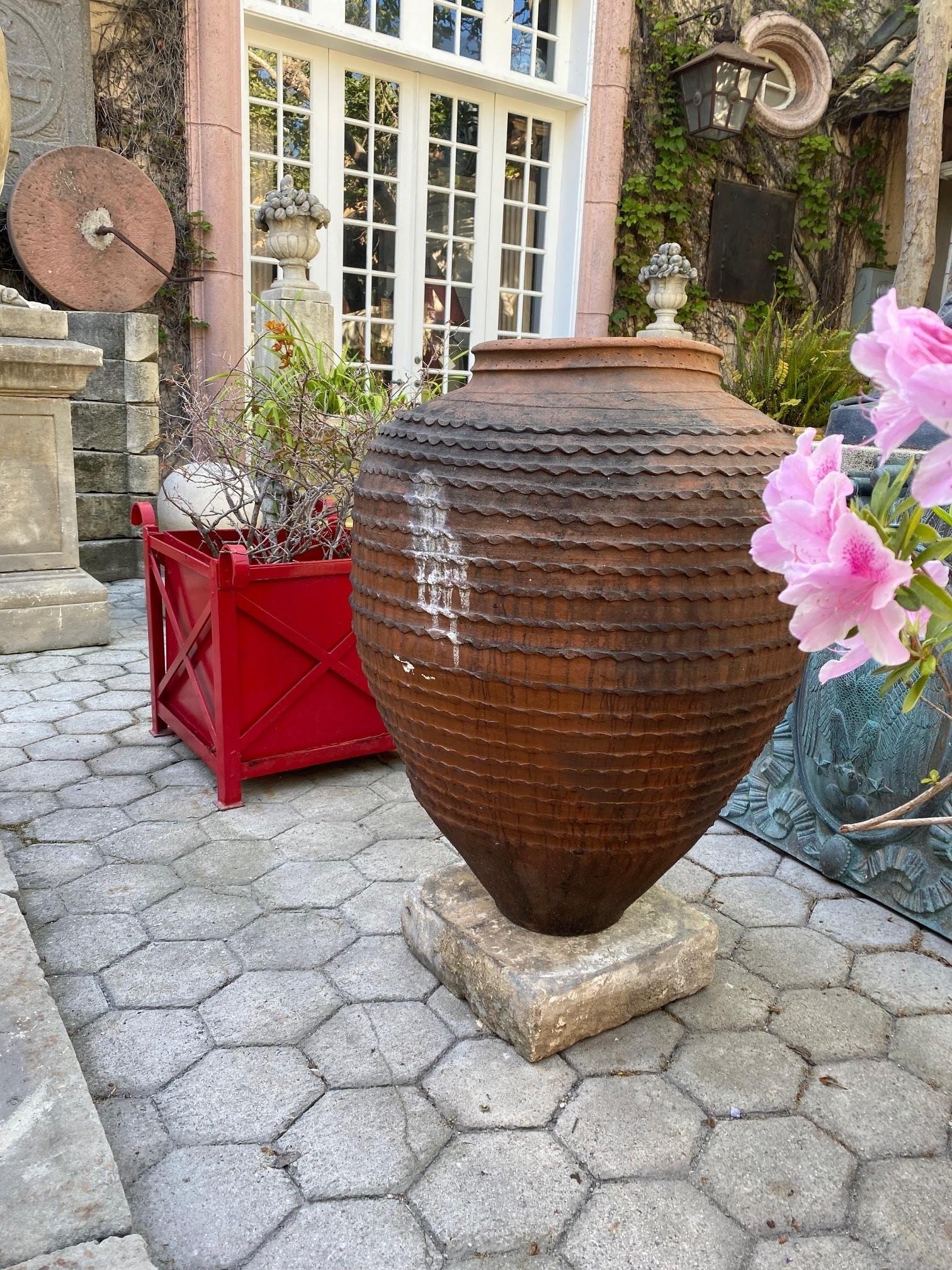 Large 19th C. Terracotta Olive Oil Jar Garden Urn Pot Planter Decorative Antique 1