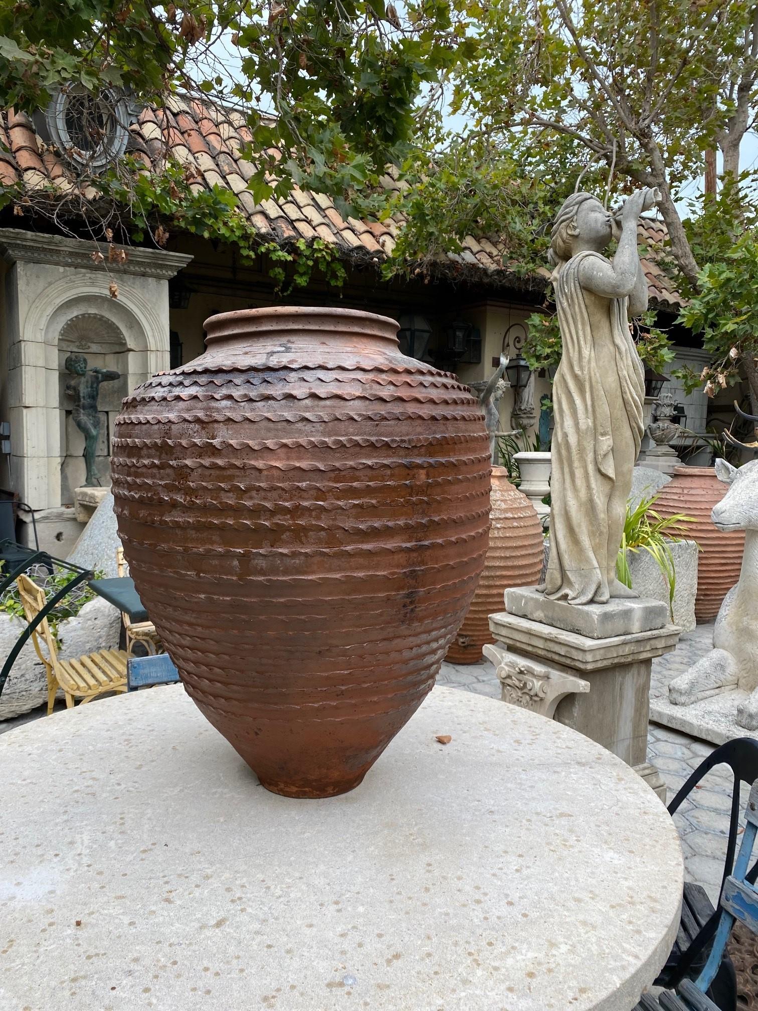 Large 19th C. Terracotta Olive Oil Jar Garden Urn Pot Planter Decorative Antique 3