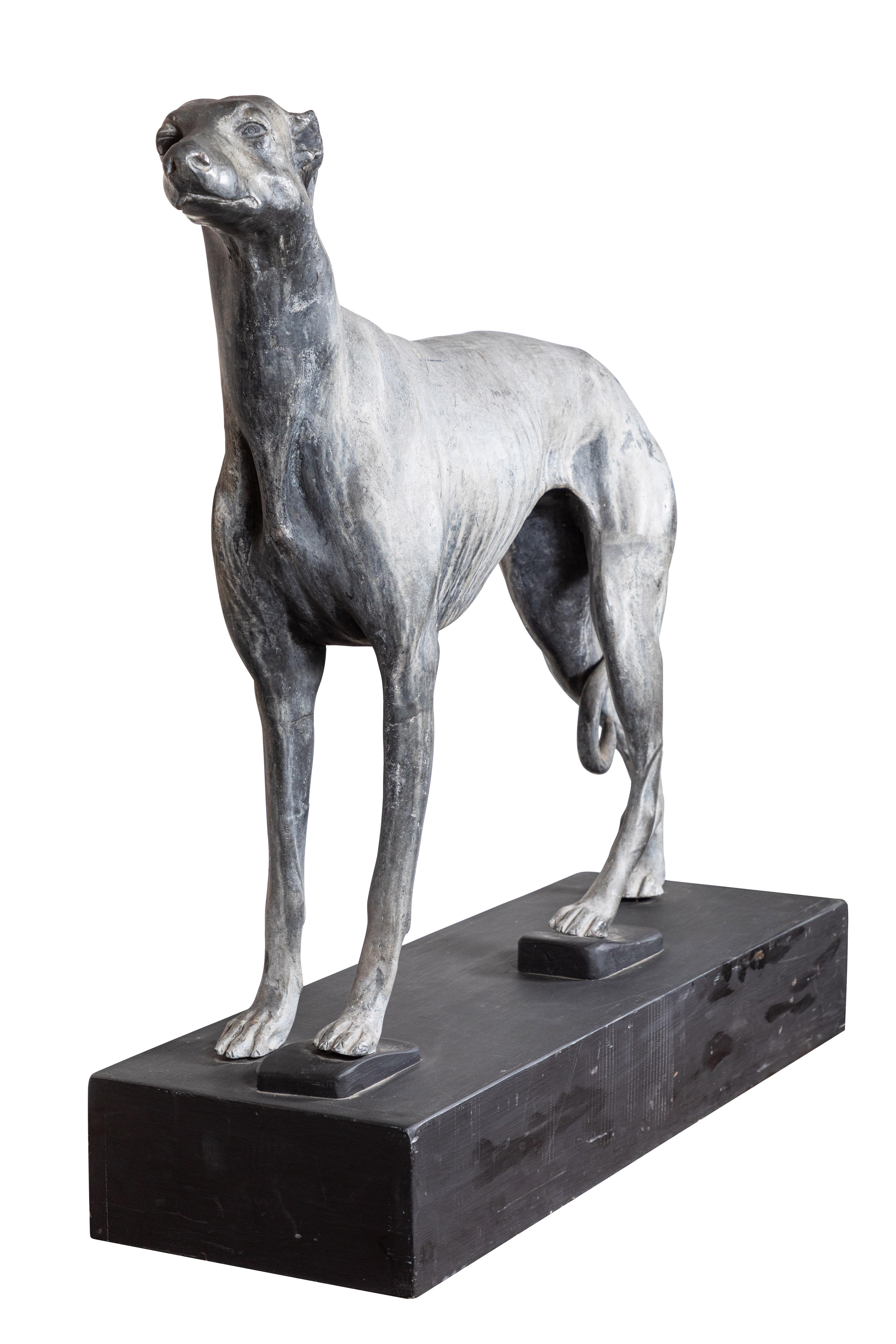 An elegant, detailed, life-sized, Victorian era, cast led greyhound on a contemporary, painted wood base. Beautiful patina.

Sculpture dimensions without base: 30.5