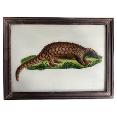 "Grande ritratto di armadillo del XIX secolo: Arte della fauna selvatica dettagliata"
