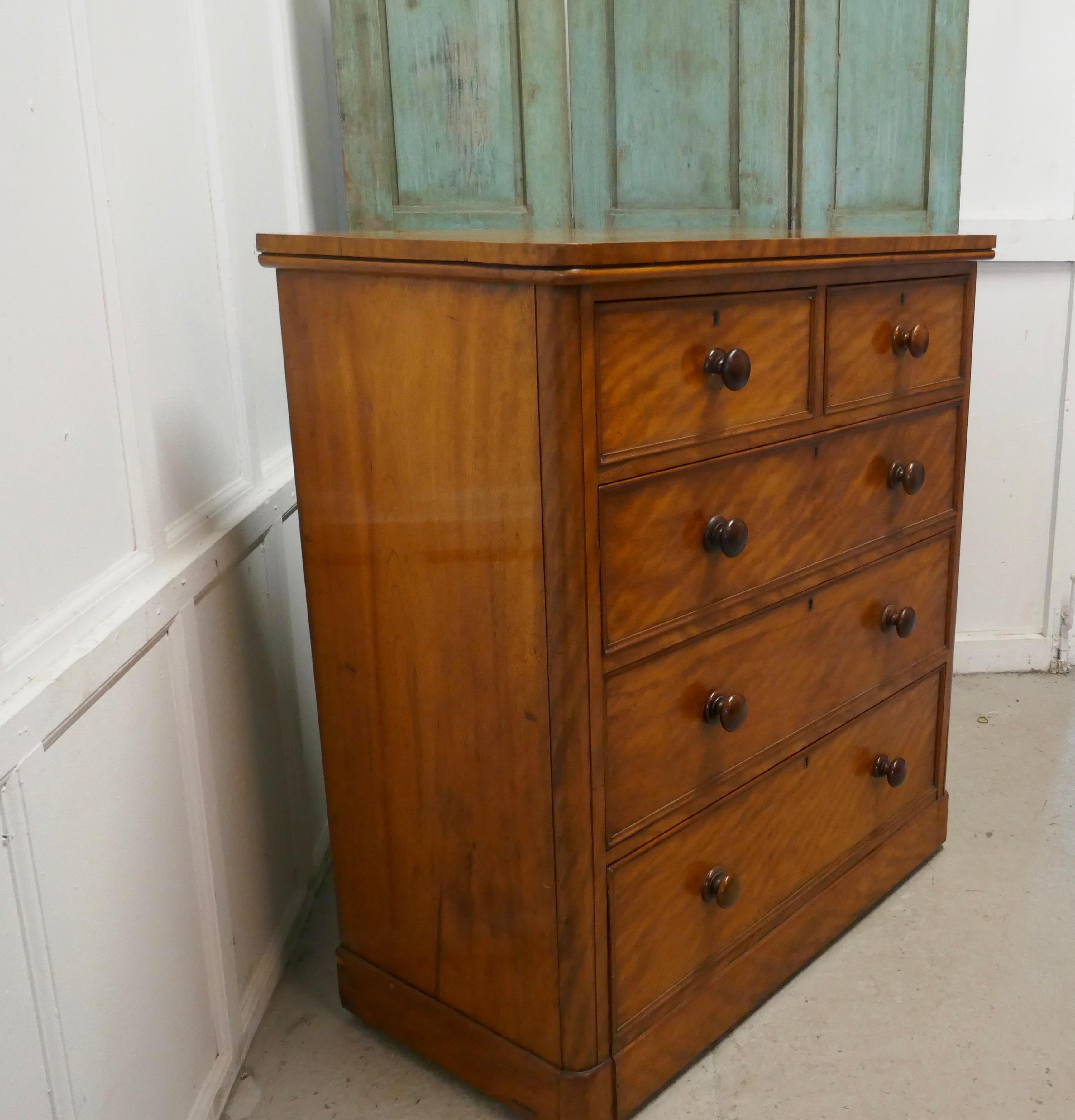 Victorian Large 19th Century Birch Chest of Drawers