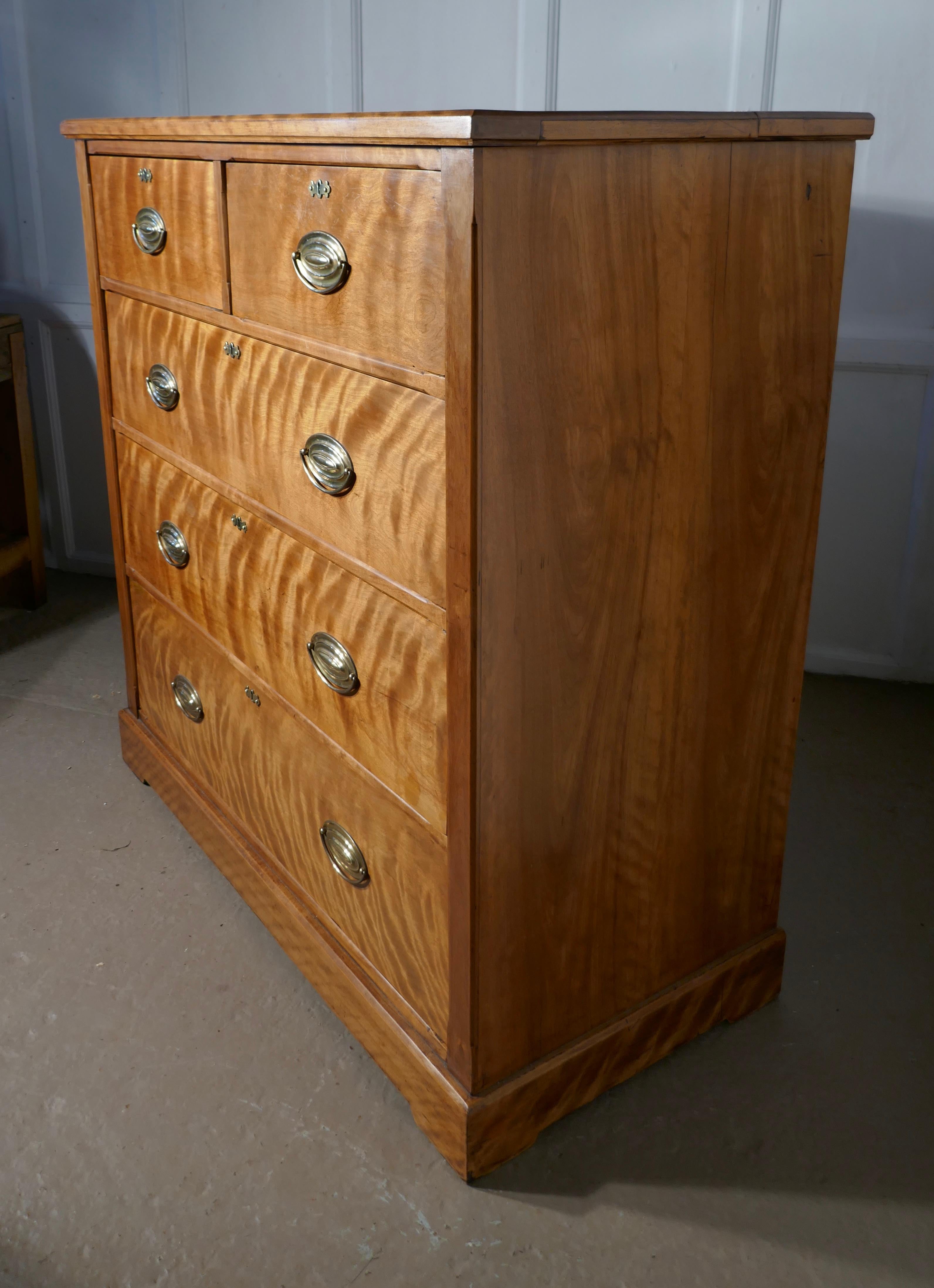 Victorian Large 19th Century Birch Chest of Drawers For Sale