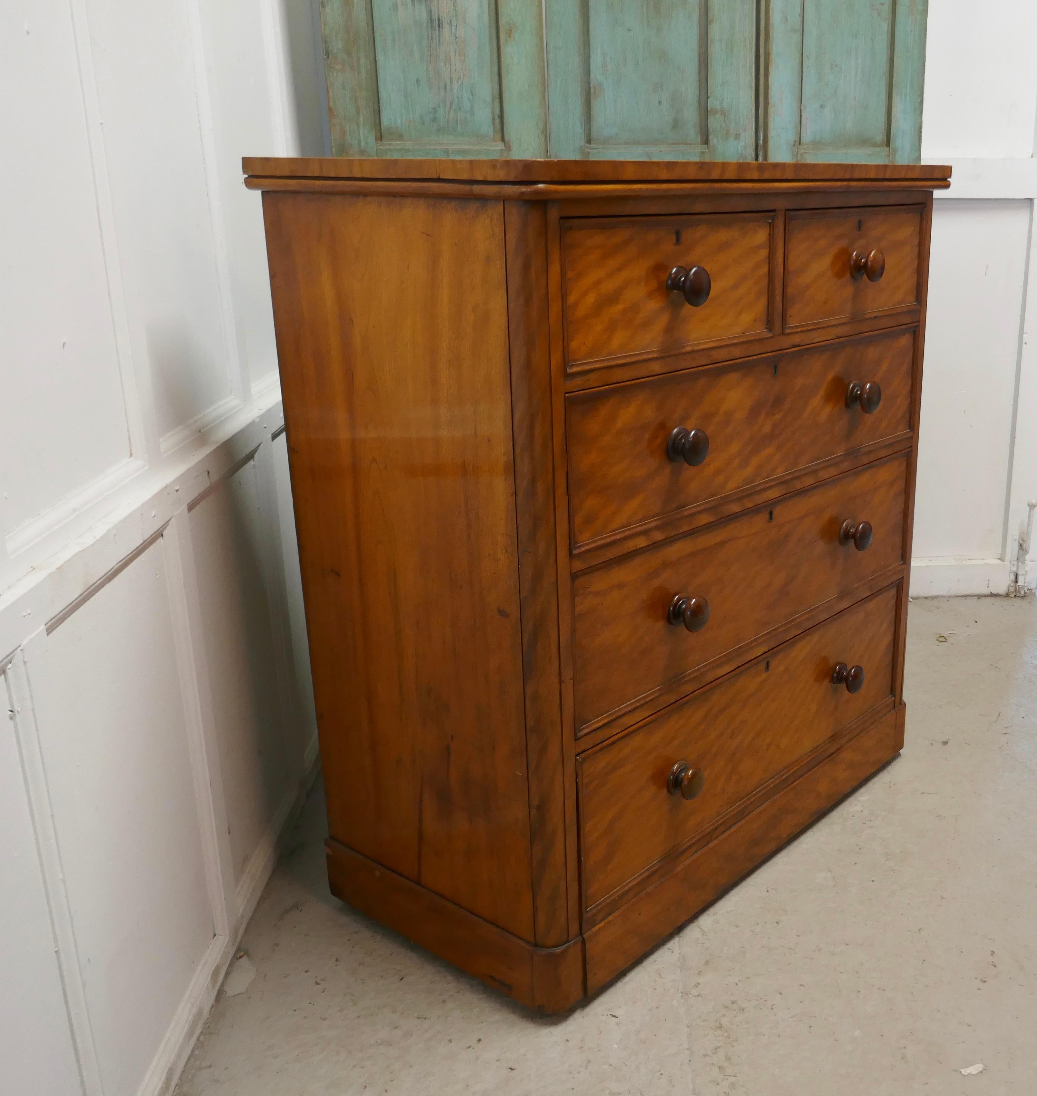 Large 19th Century Birch Chest of Drawers In Good Condition In Chillerton, Isle of Wight