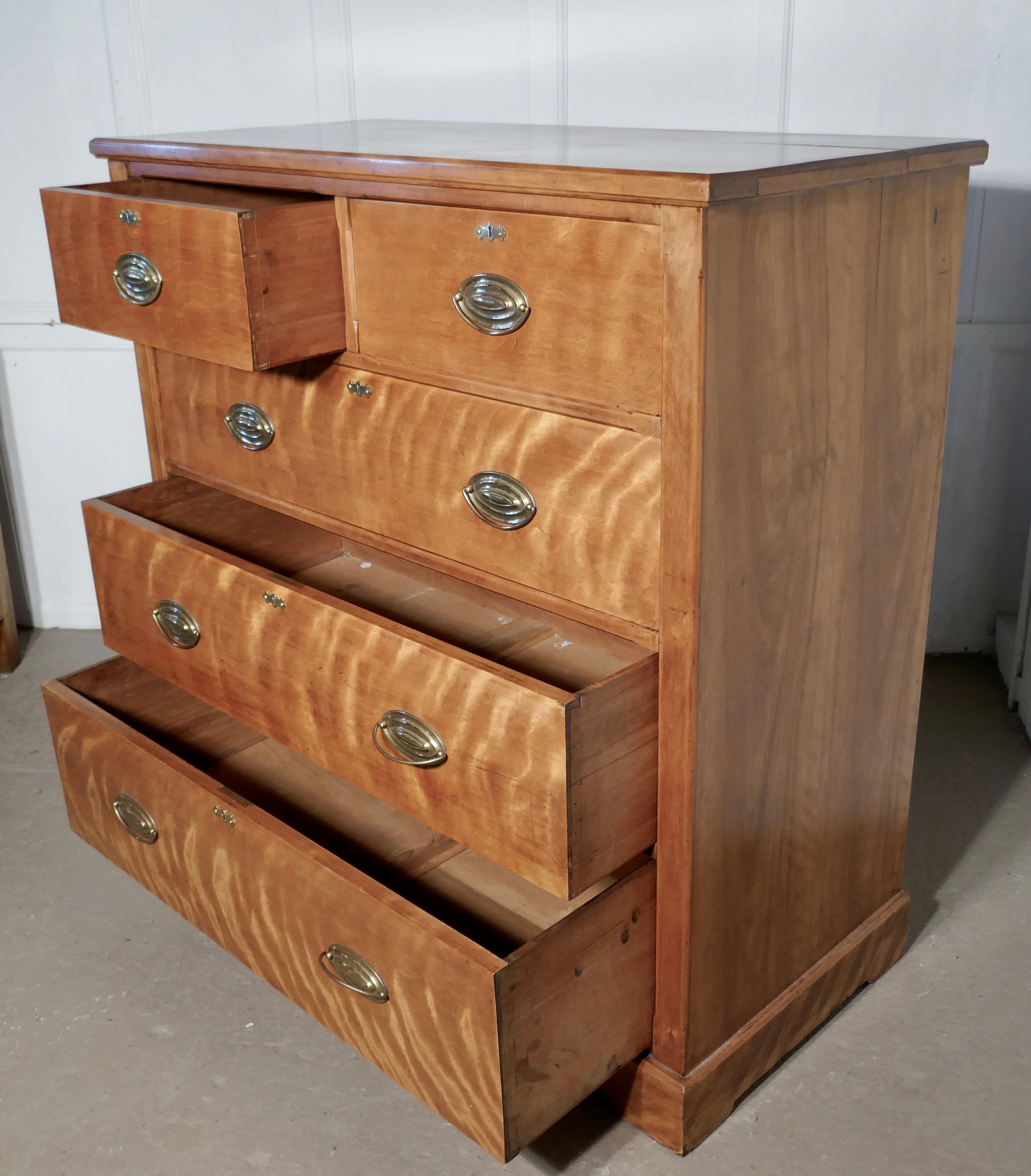 Large 19th Century Birch Chest of Drawers In Good Condition For Sale In Chillerton, Isle of Wight