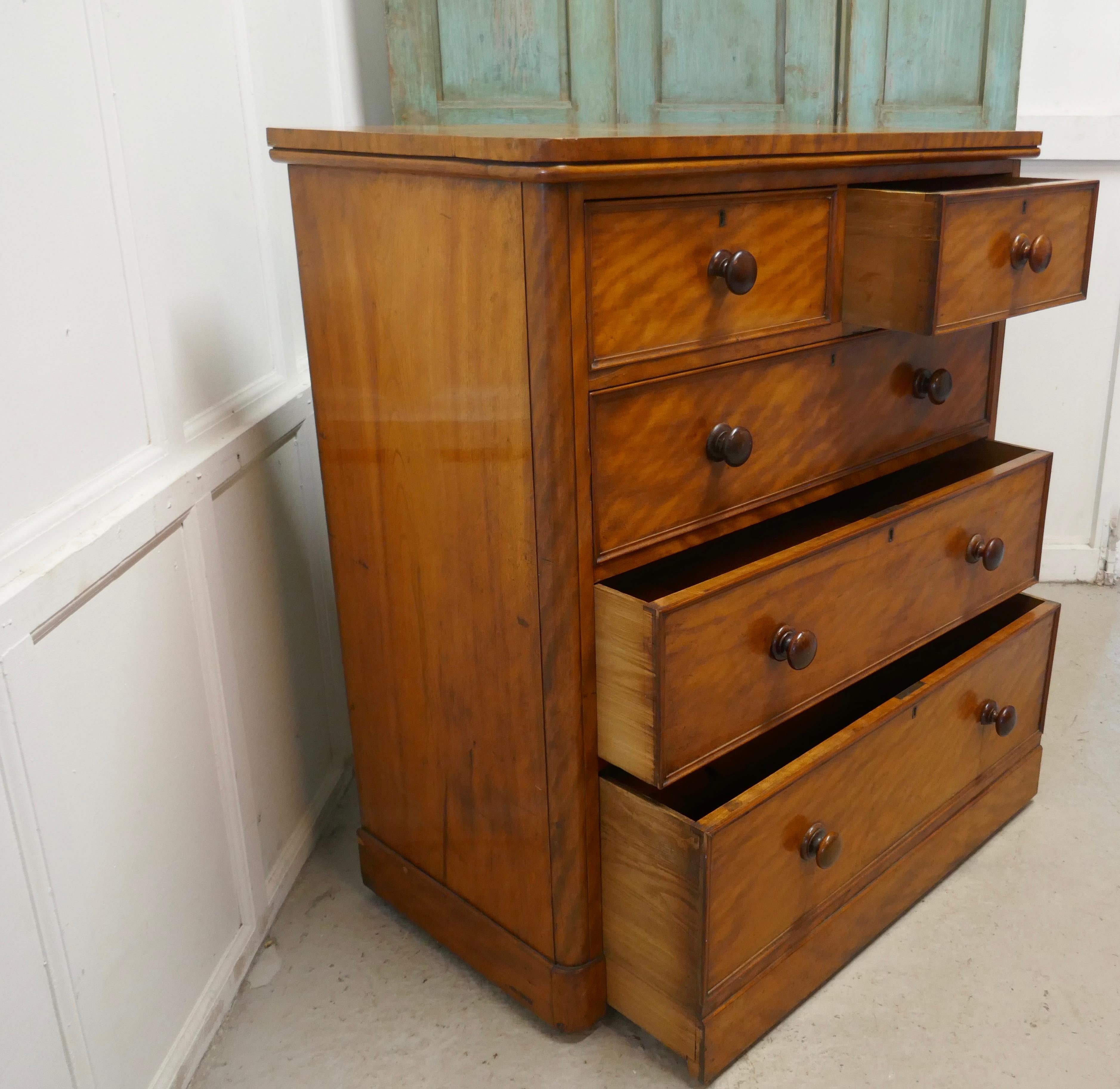 Large 19th Century Birch Chest of Drawers 2