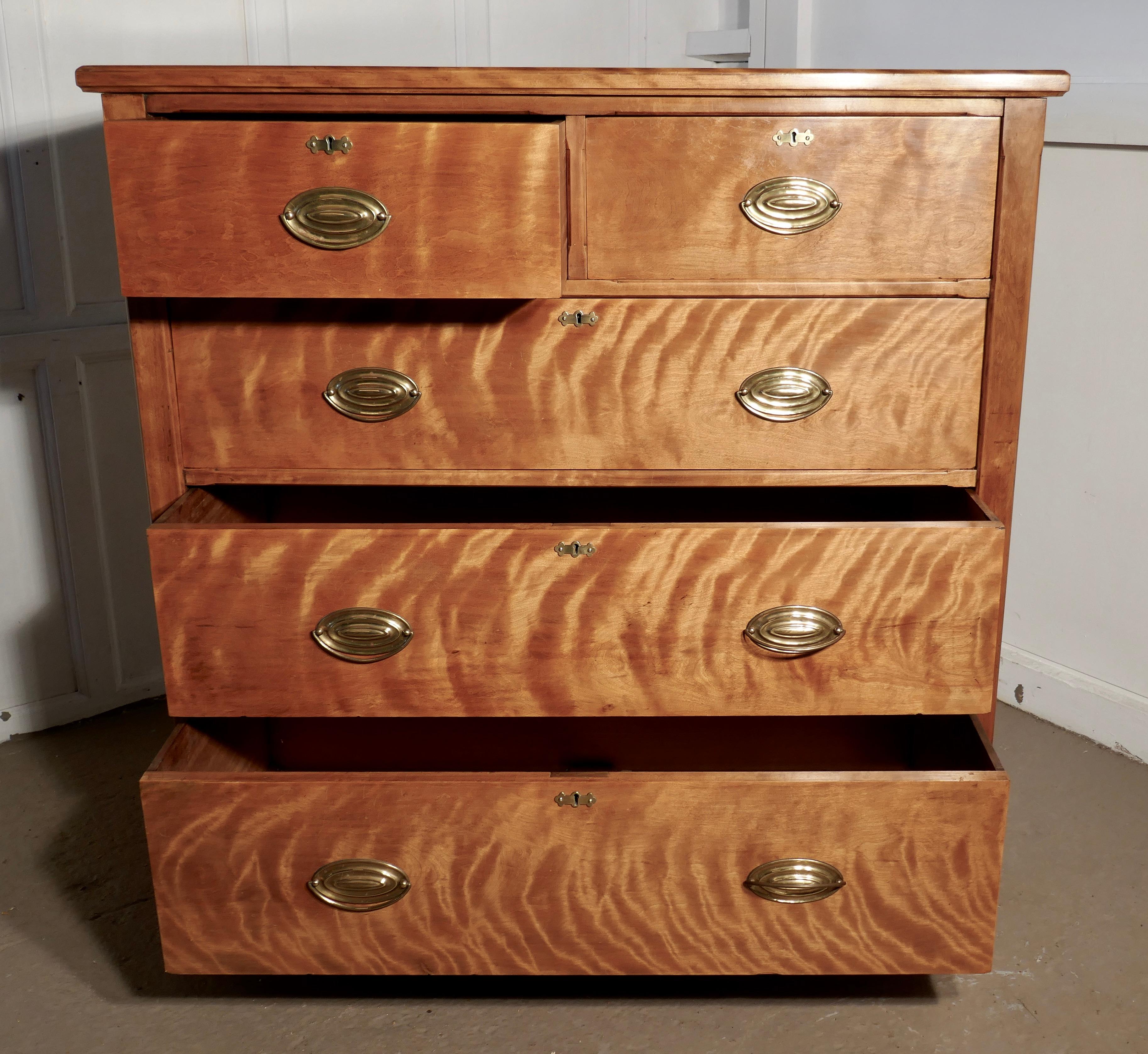 Large 19th Century Birch Chest of Drawers For Sale 3