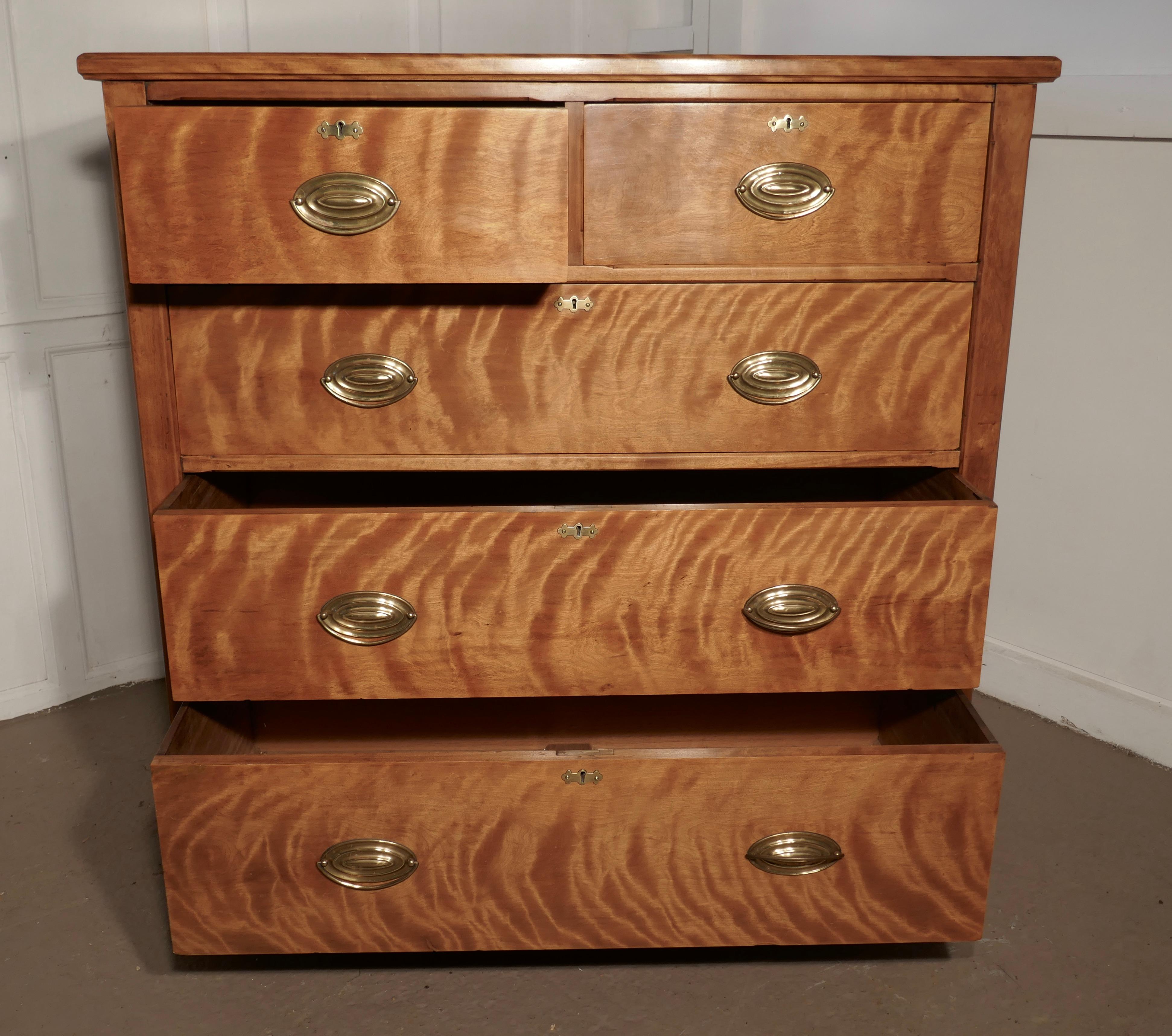 Large 19th Century Birch Chest of Drawers For Sale 4