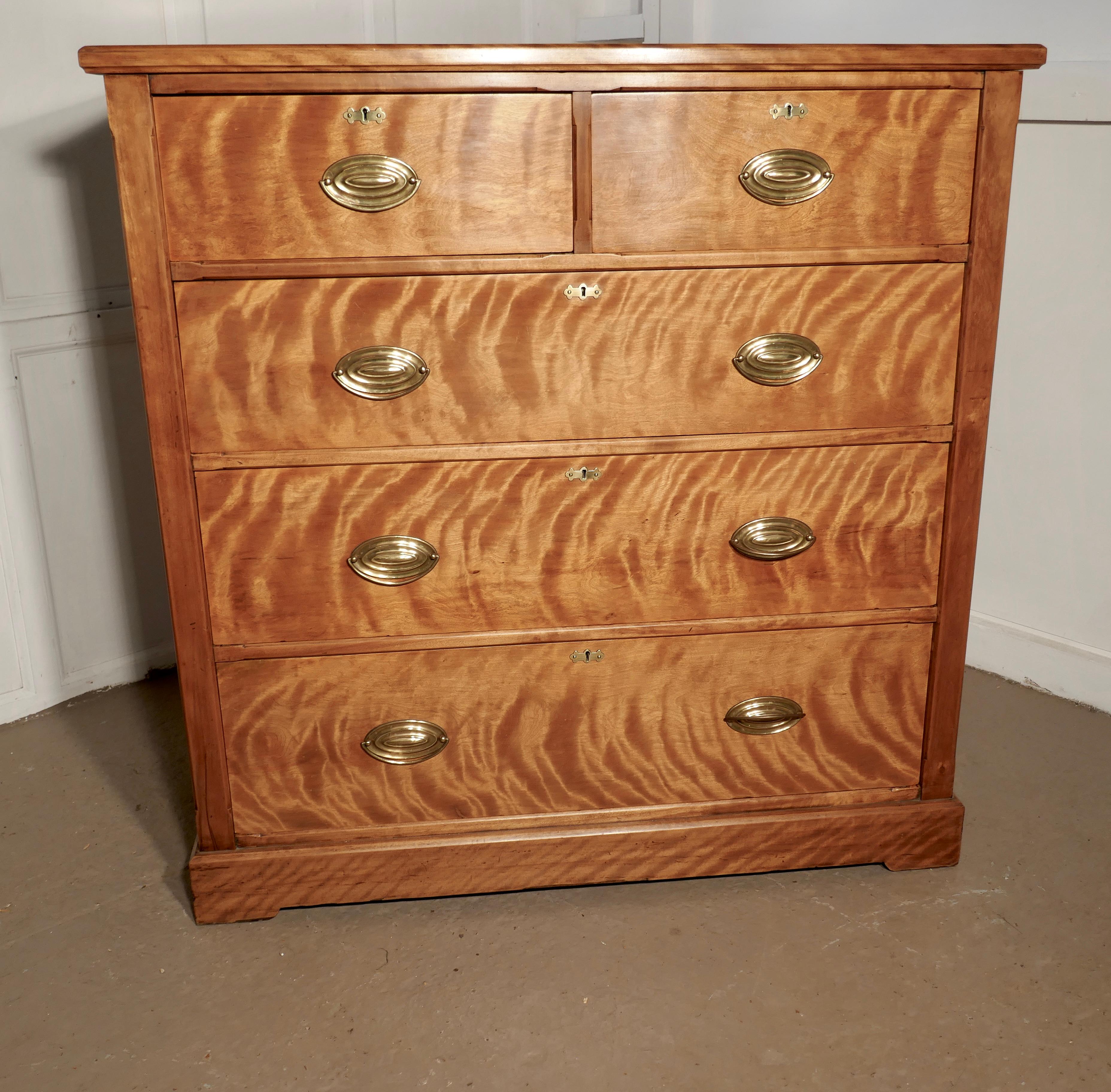 Large 19th Century Birch Chest of Drawers For Sale 5