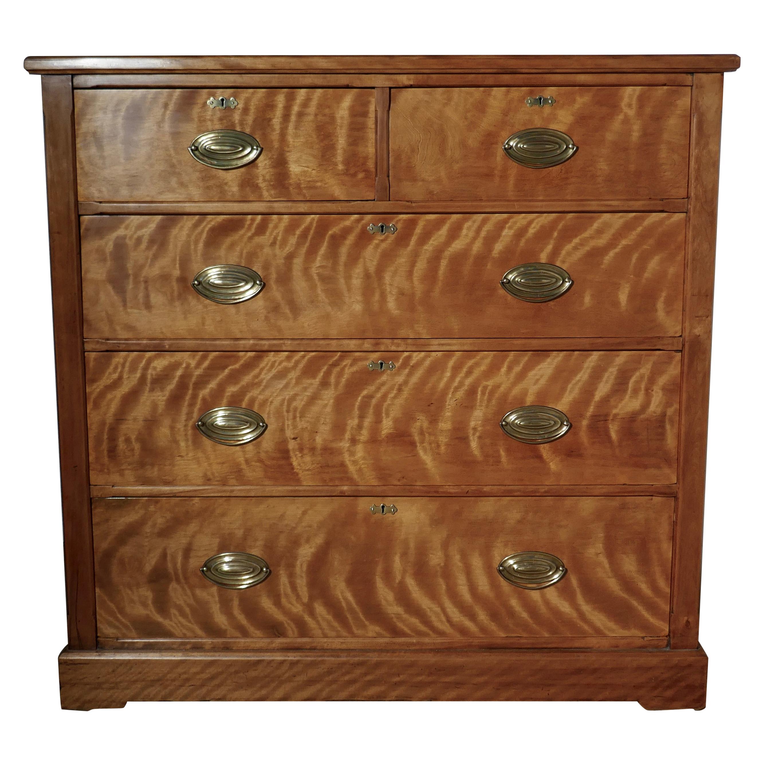 Large 19th Century Birch Chest of Drawers For Sale