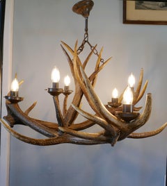Large 19th Century Black Forrest Stag Antler Hanging Chandelier Hunting Lodge