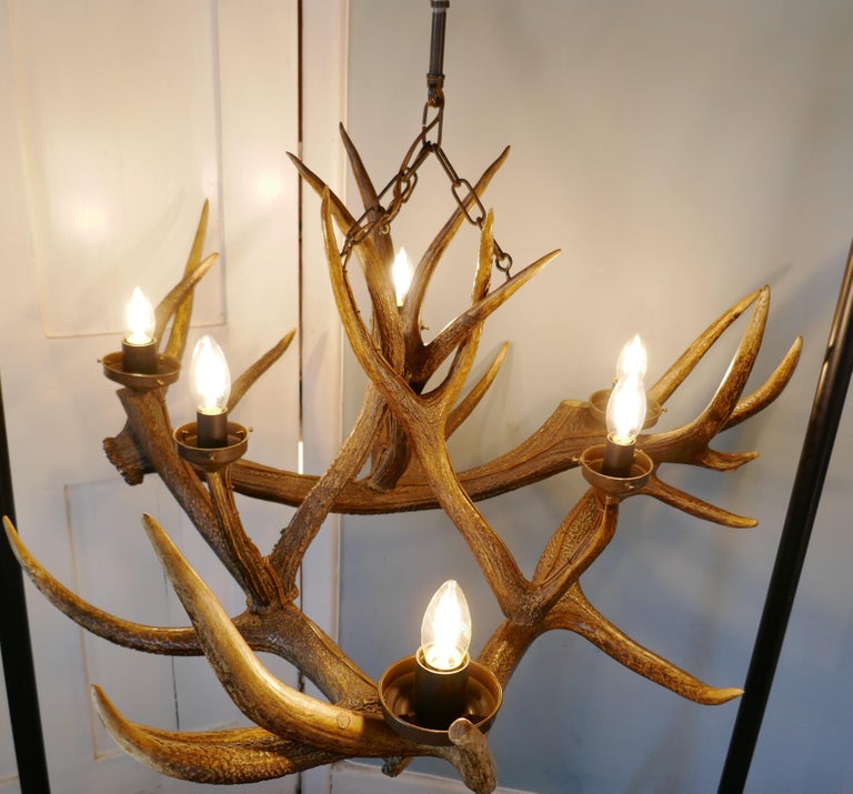 Large 19th Century Black Forrest Stag Antler Hanging ...