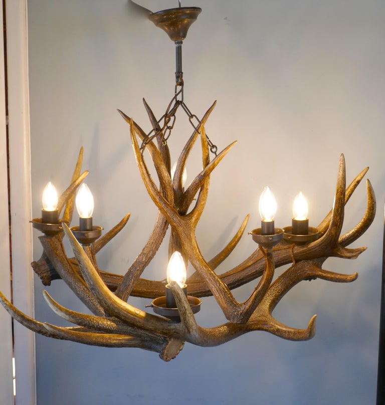Large 19th Century Black Forrest Stag Antler Hanging ...