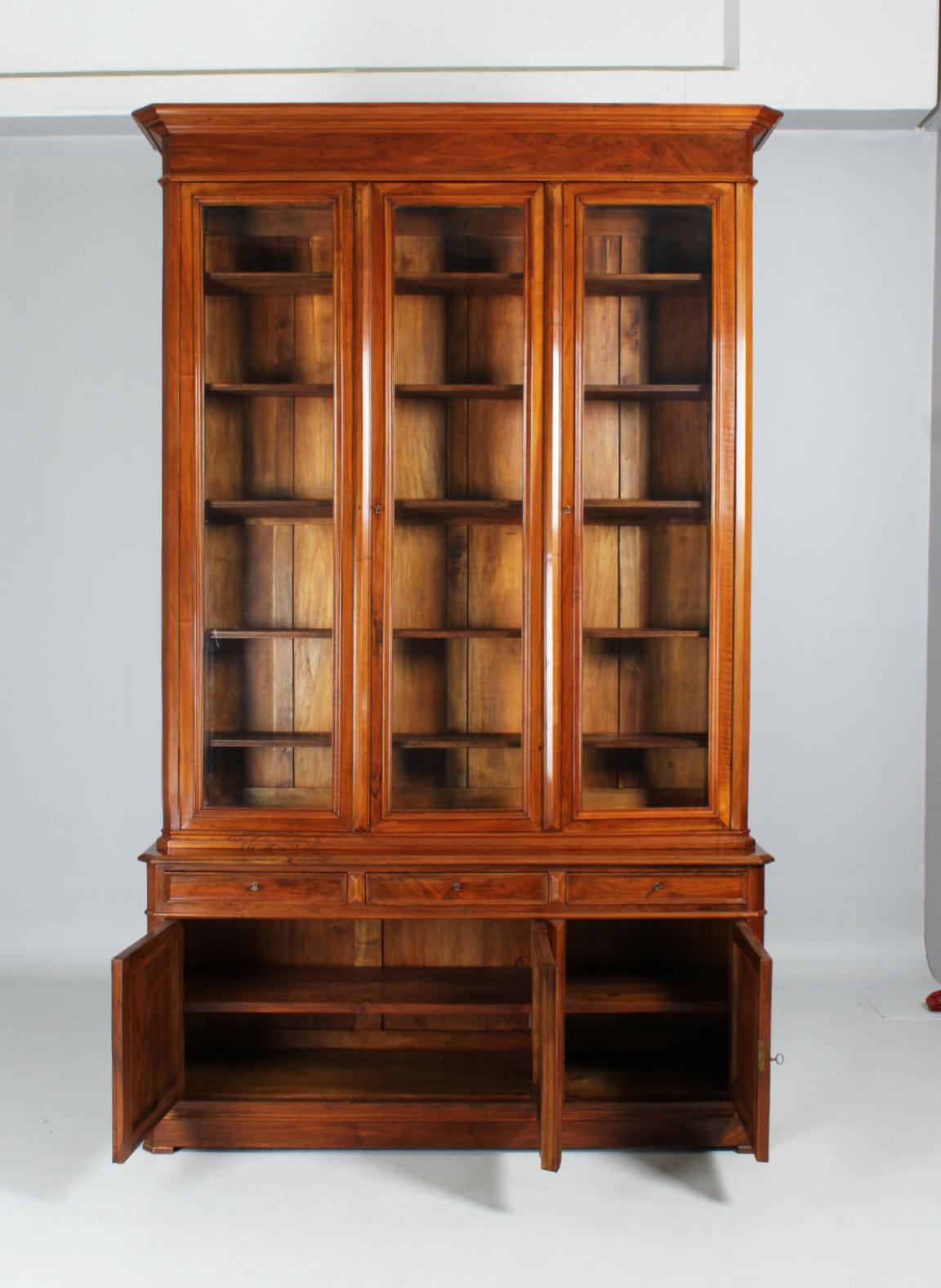 Large 19th Century Bookcase, Bibliotheque, Library, Walnut, France, circa 1850 For Sale 4
