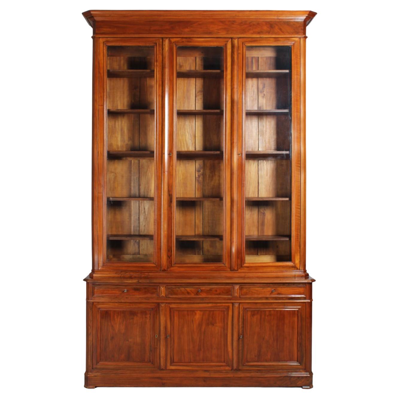 Large 19th Century Bookcase, Bibliotheque, Library, Walnut, France, circa 1850 For Sale