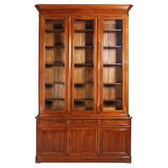 Antique Large 19th Century Bookcase, Bibliotheque, Library, Walnut, France, circa 1850