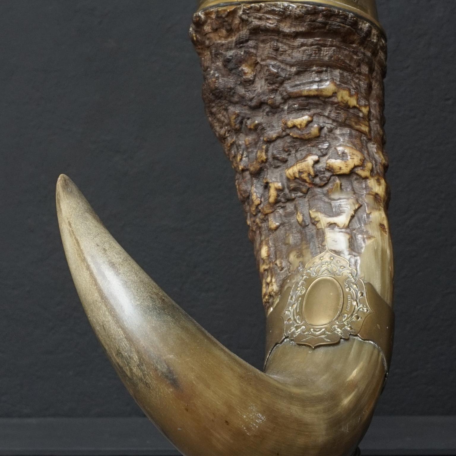 Large 19th Century Buffalo Horn of Plenty, Cornucopia Mounted in Metal & Copper 5