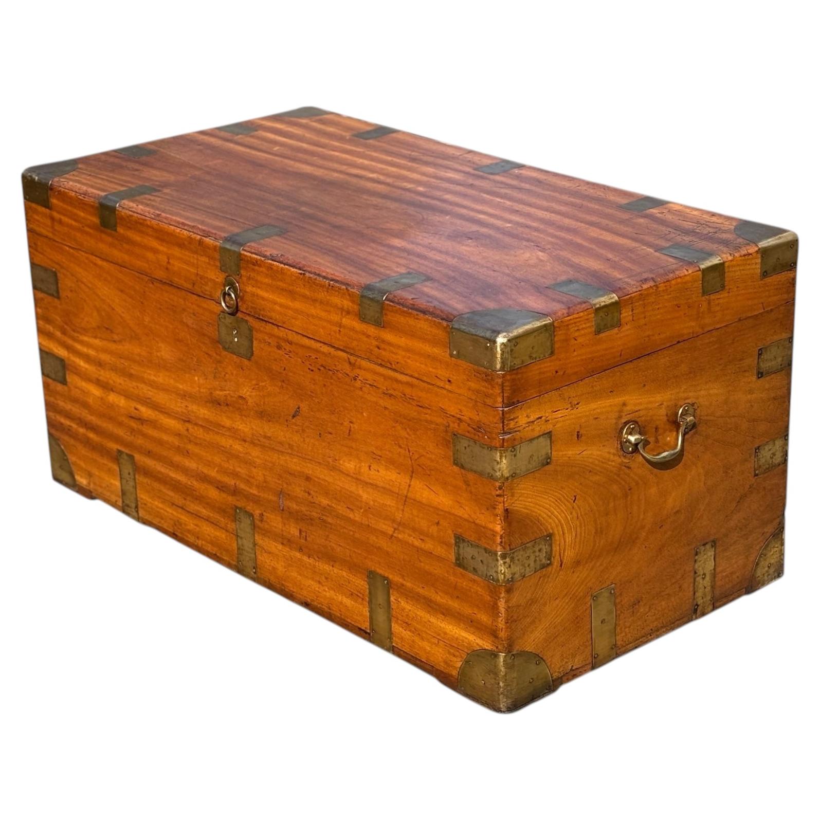 Grande baule da viaggio in legno di canfora e ottone del XIX secolo