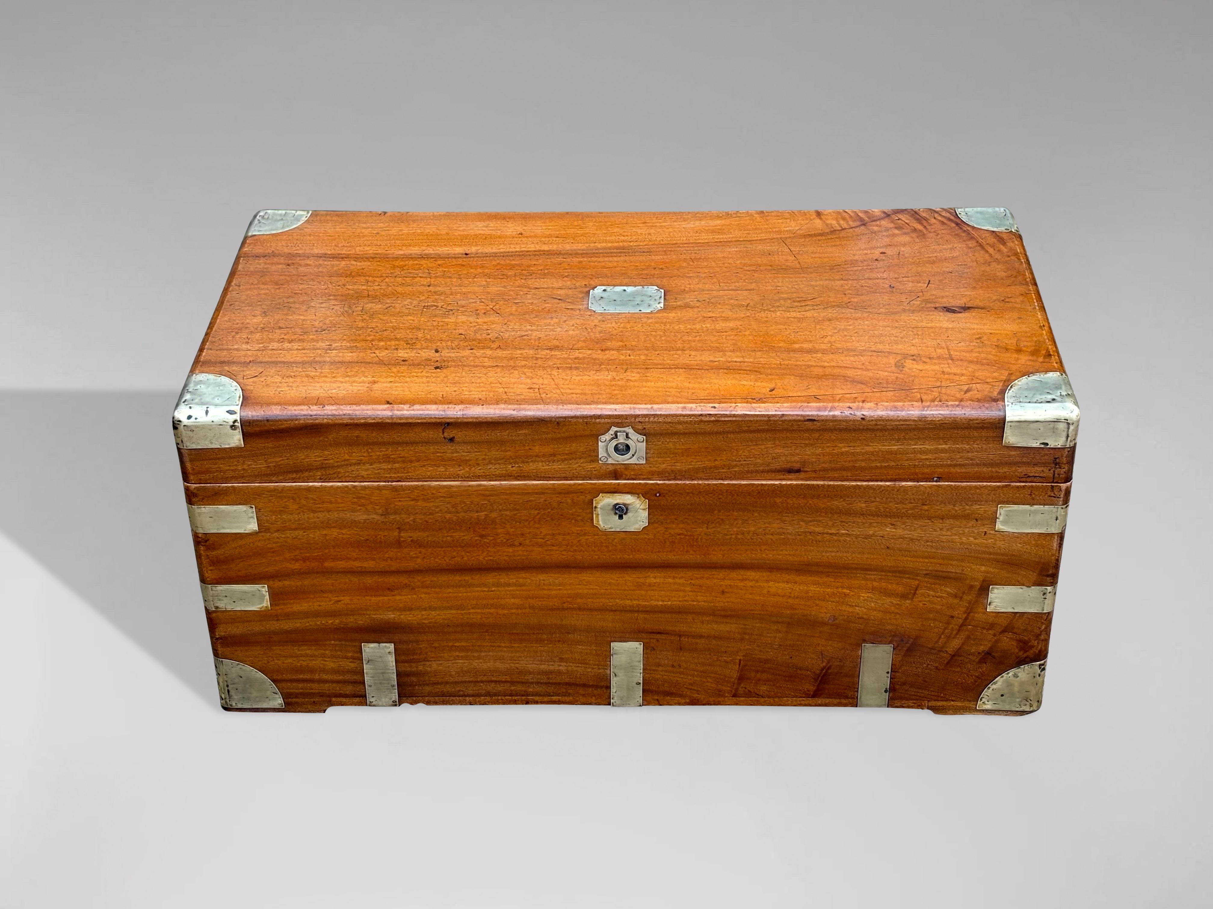 Large 19th Century Camphor Wood Trunk or Chest 3