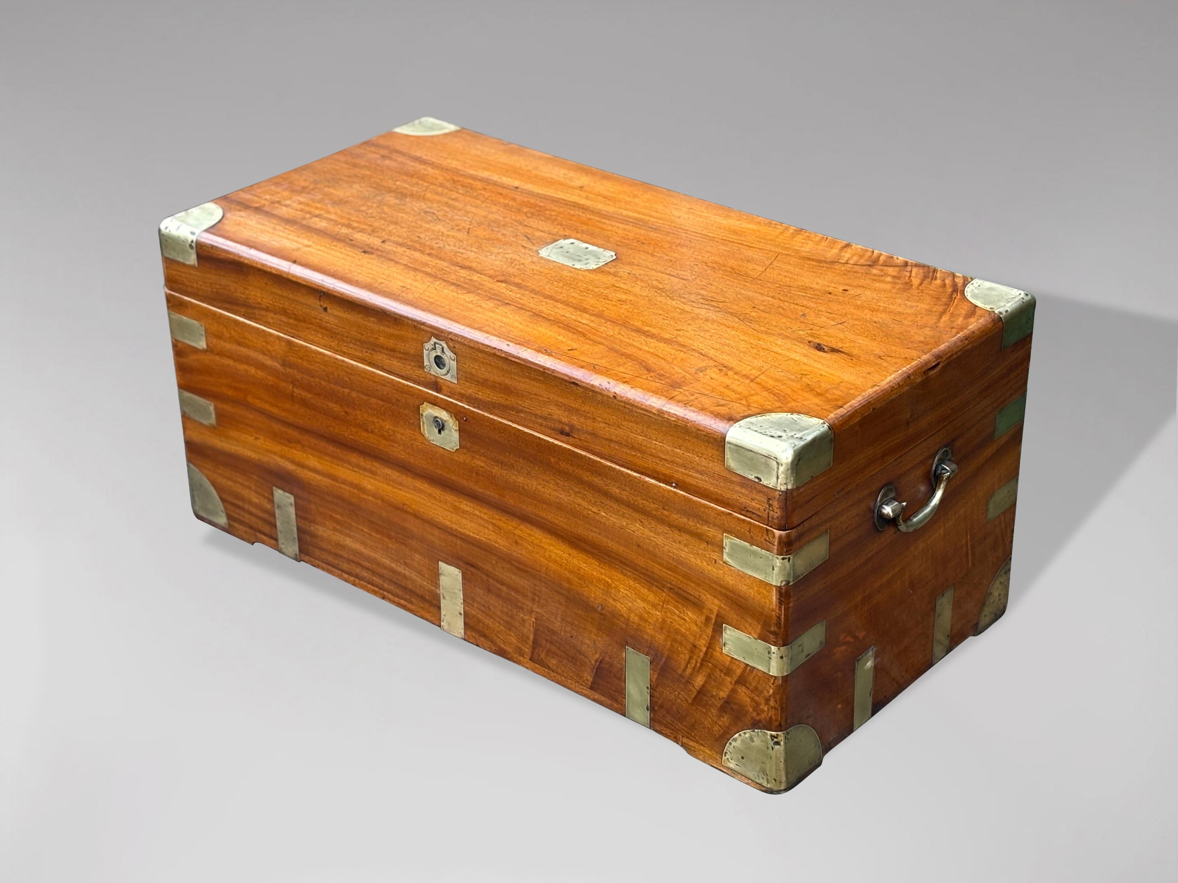 Large 19th Century Camphor Wood Trunk or Chest For Sale 4