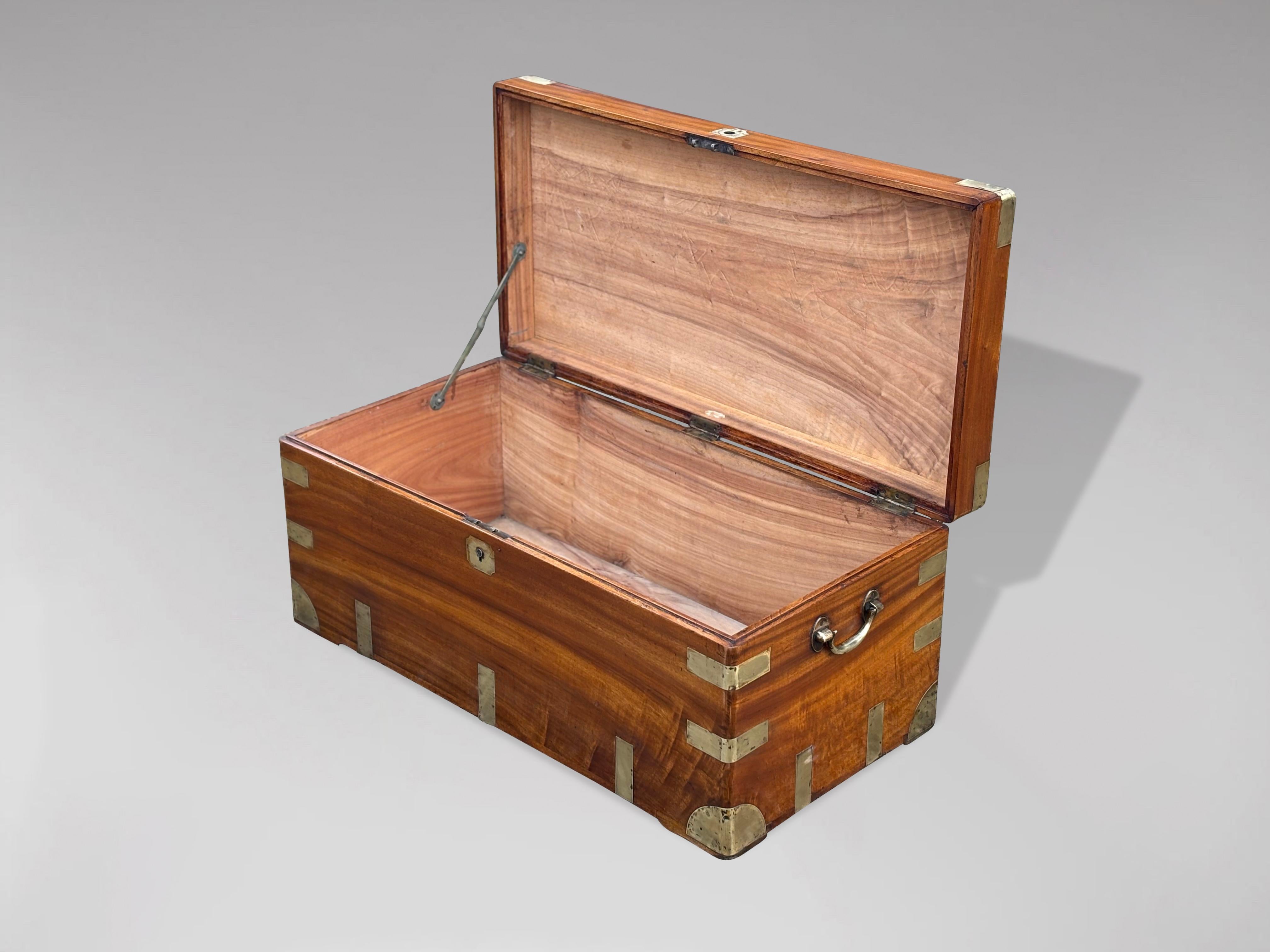 Large 19th Century Camphor Wood Trunk or Chest For Sale 1